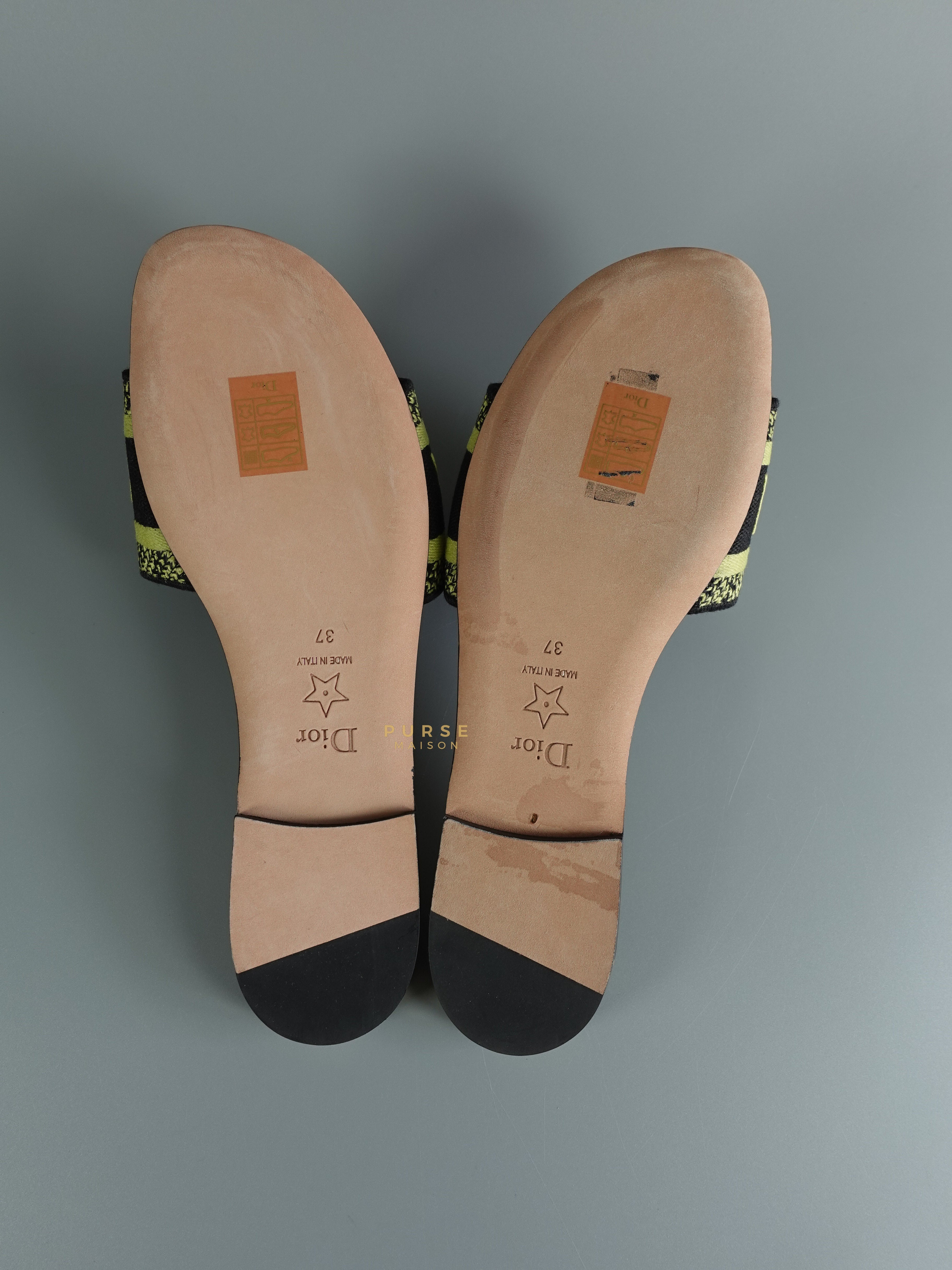 Christian Dior DWAY Slides Leopard Light Green Size 37 | Purse Maison Luxury Bags Shop