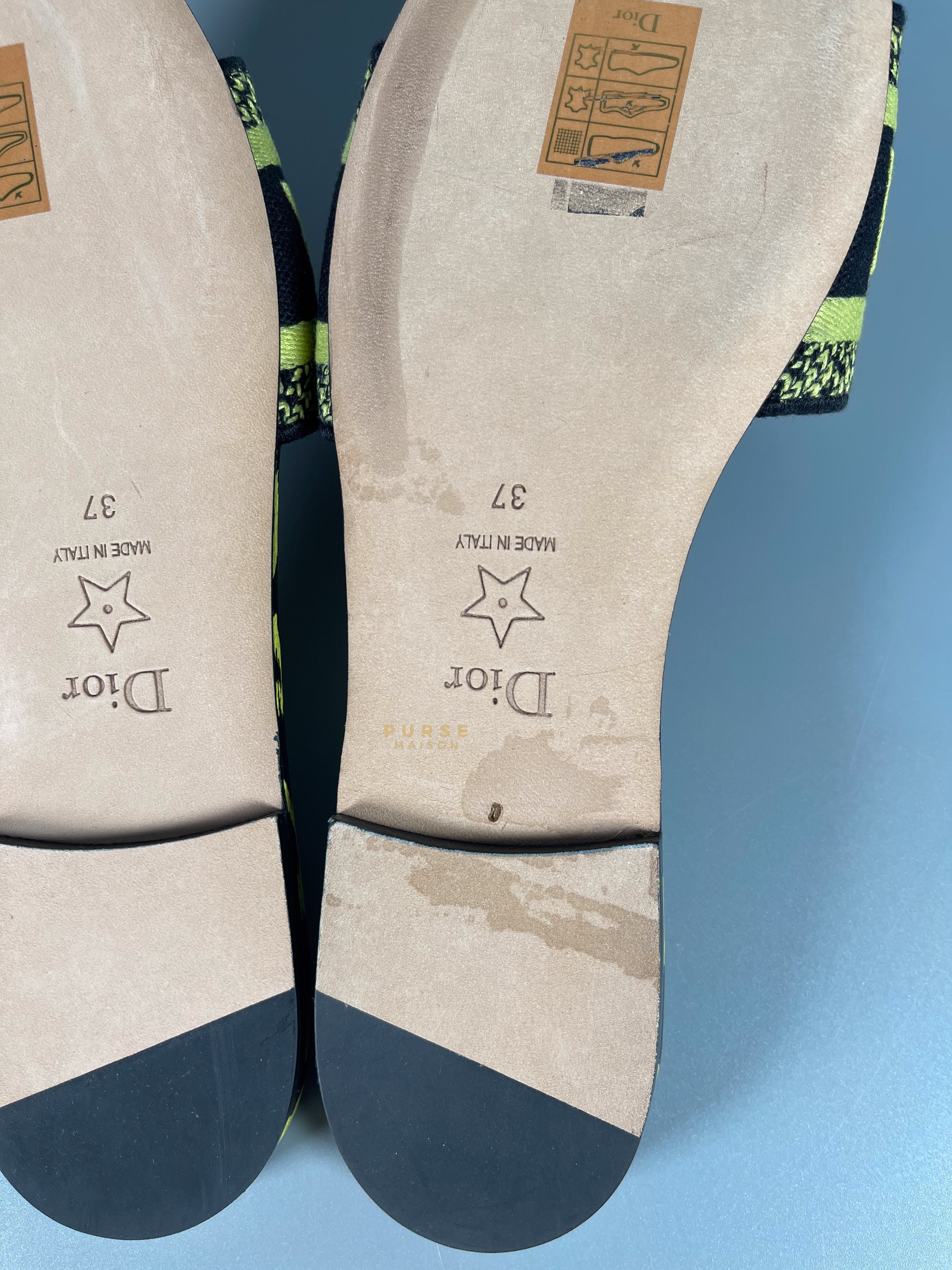 Christian Dior DWAY Slides Leopard Light Green Size 37 | Purse Maison Luxury Bags Shop