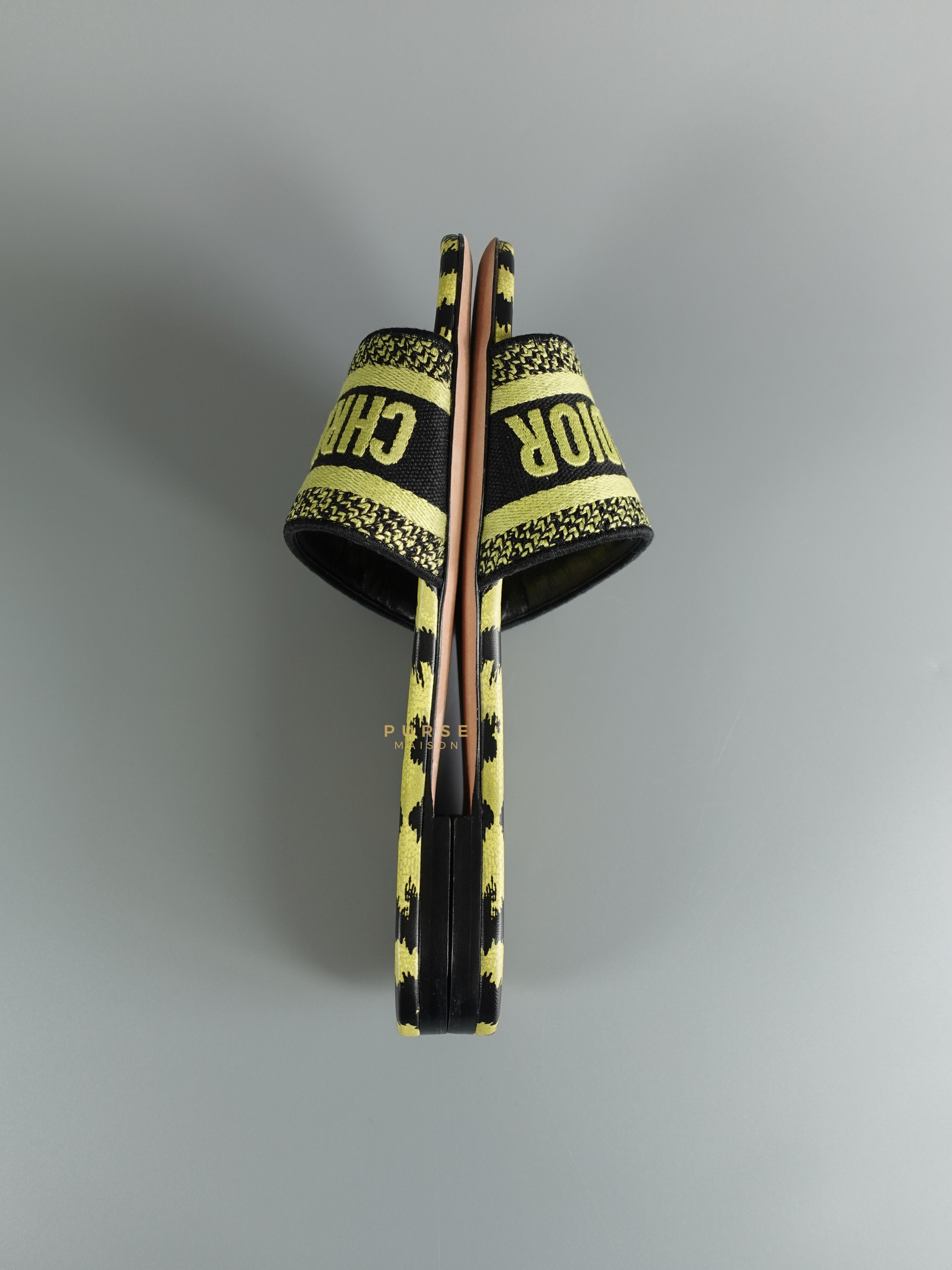 Christian Dior DWAY Slides Leopard Light Green Size 37 | Purse Maison Luxury Bags Shop