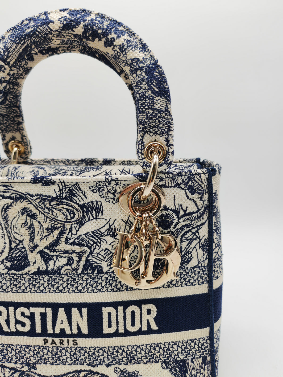 Christian Dior Lady D-Lite Medium in Toile De Jouy Embroidery Canvas and Light Gold Hardware | Purse Maison Luxury Bags Shop