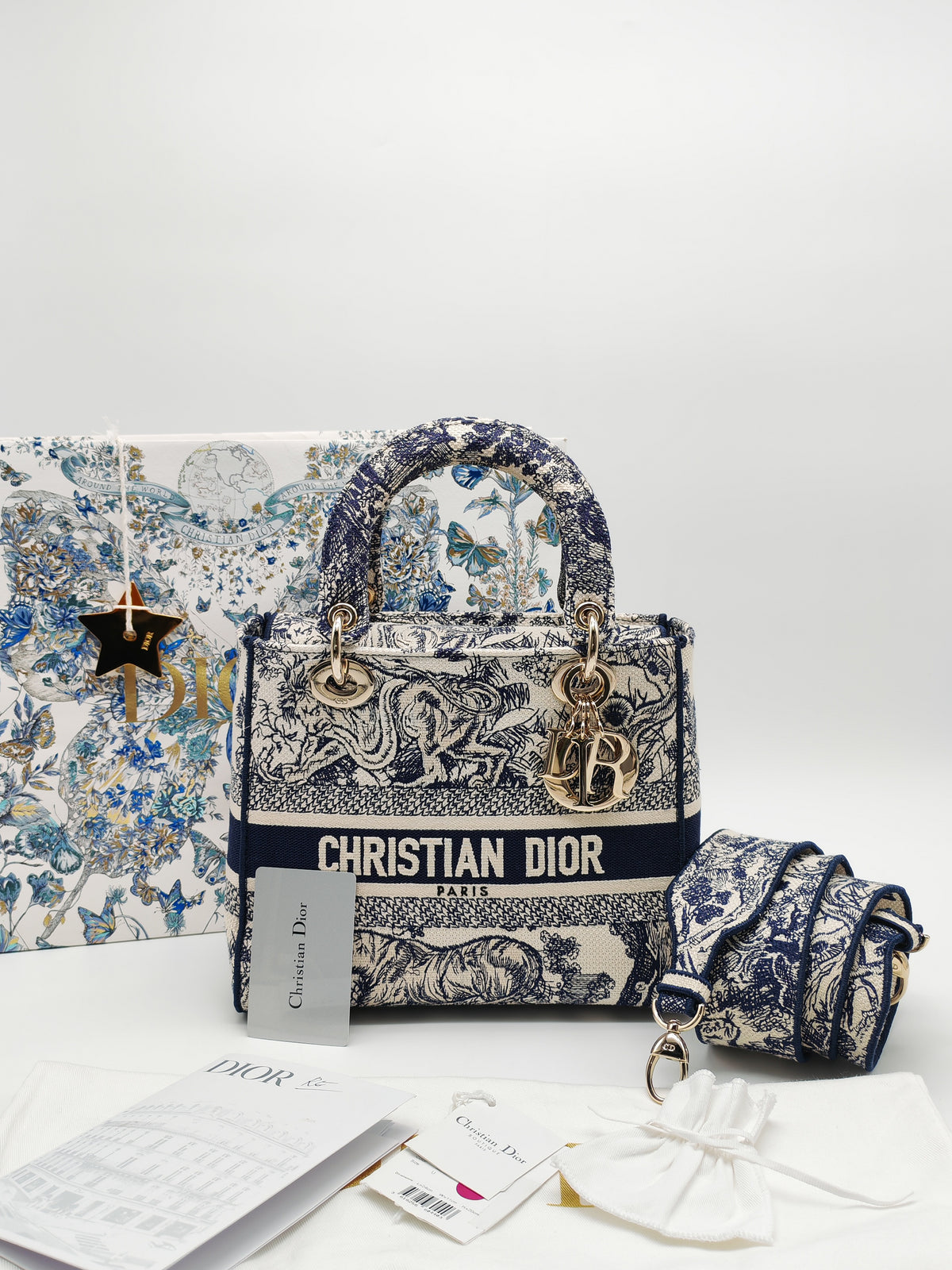 Christian Dior Lady D-Lite Medium in Toile De Jouy Embroidery Canvas and Light Gold Hardware | Purse Maison Luxury Bags Shop