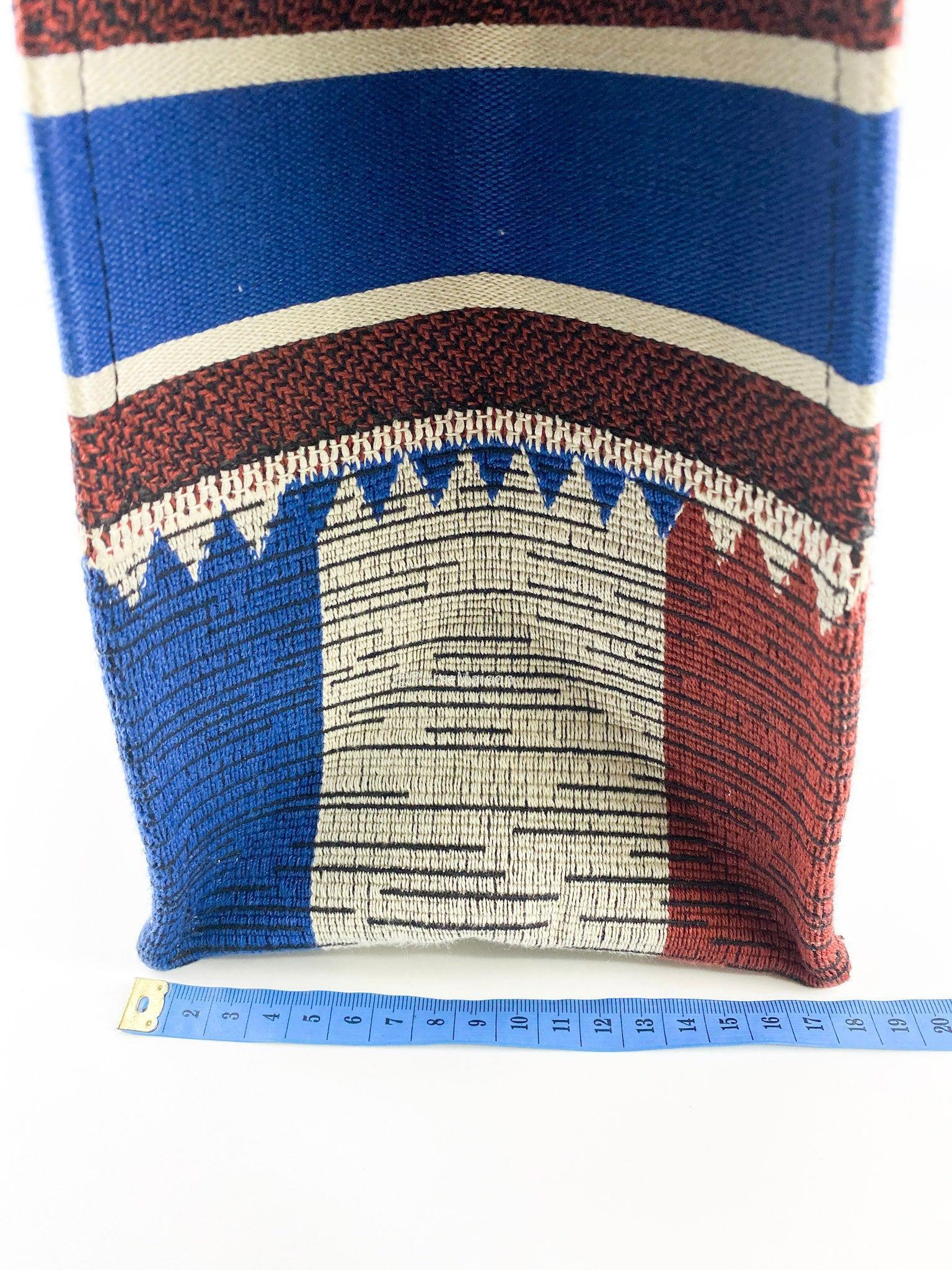 Christian Dior Large Book Tote French Flag 2019 fall/winter collection