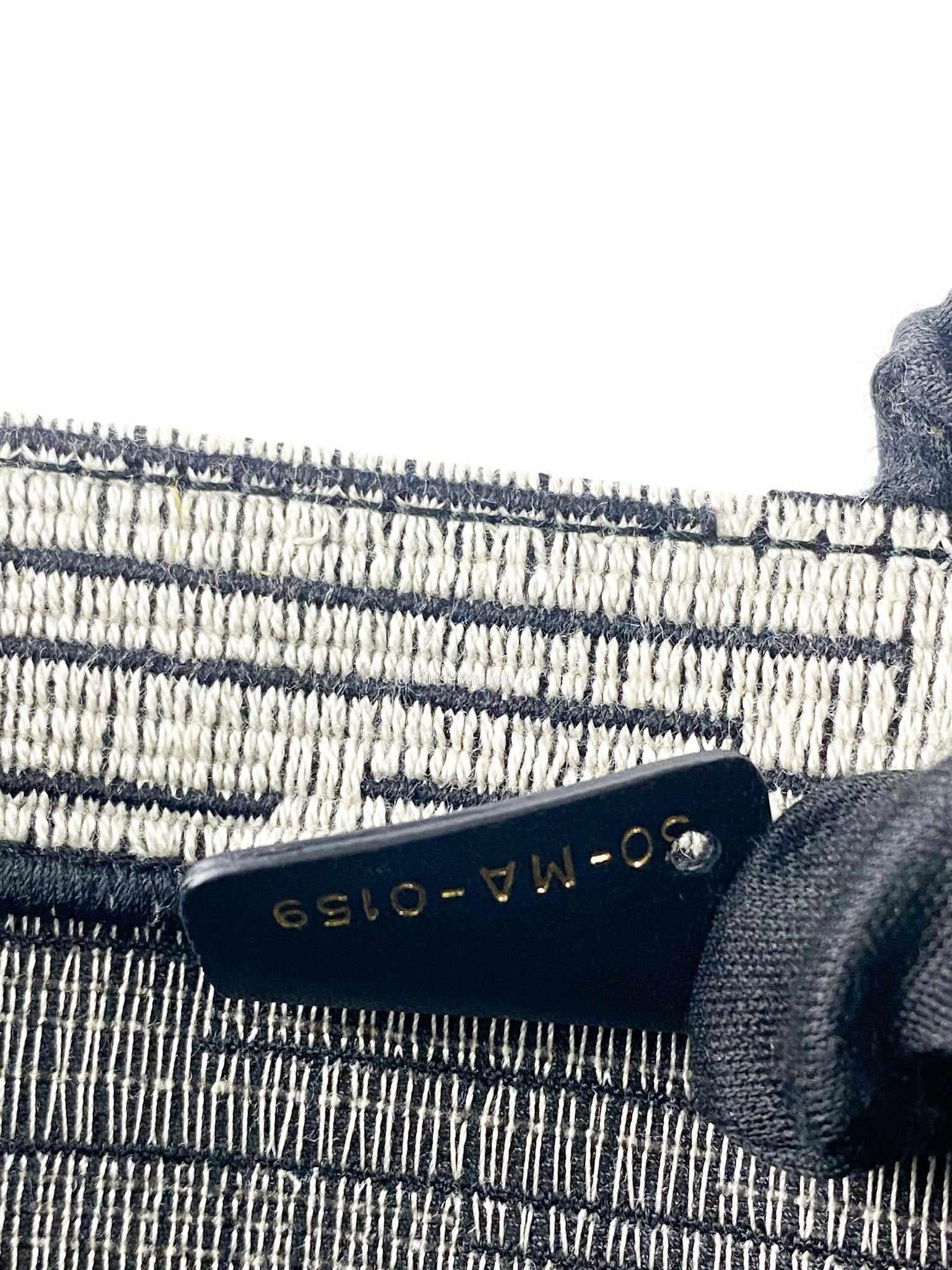 Christian Dior Large Book Tote French Flag 2019 fall/winter collection