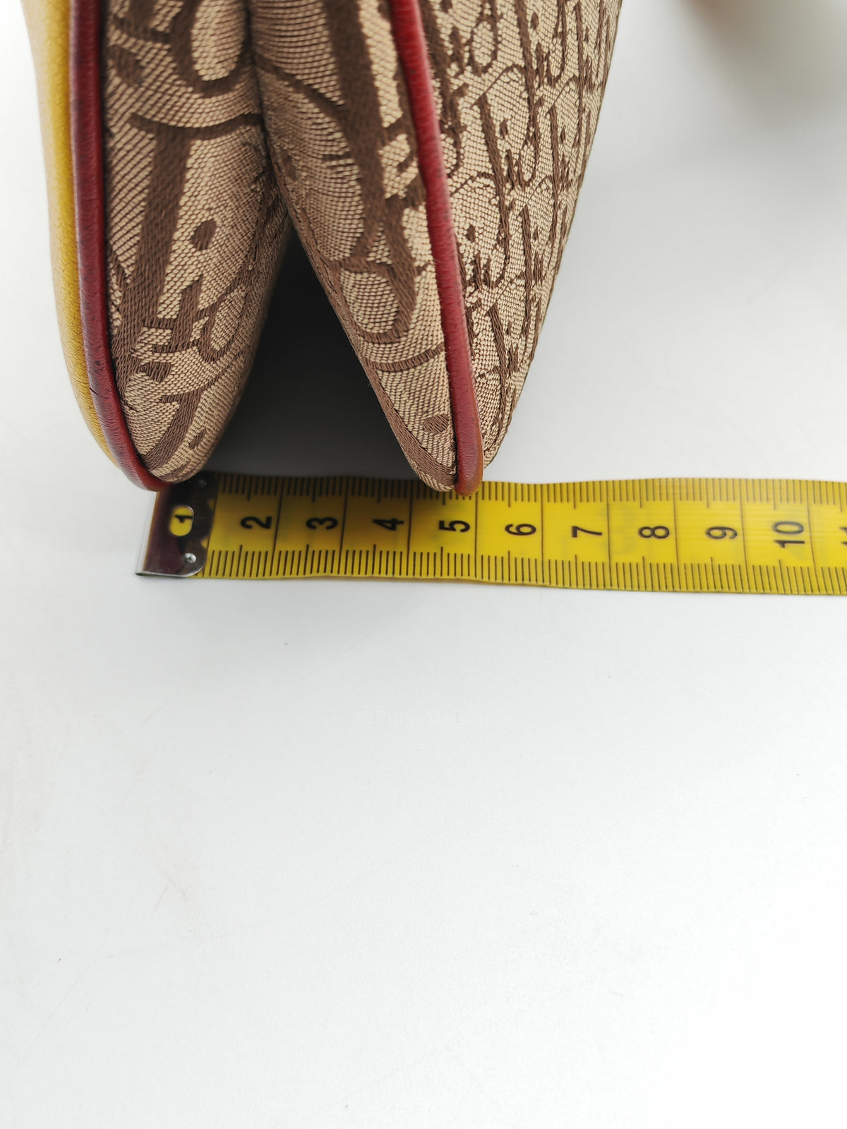 Christian Dior Rasta Trotter Double Saddle Bag in Beige Monogram Canvas with Yellow and Rasta-Colored Accents | Purse Maison Luxury Bags Shop