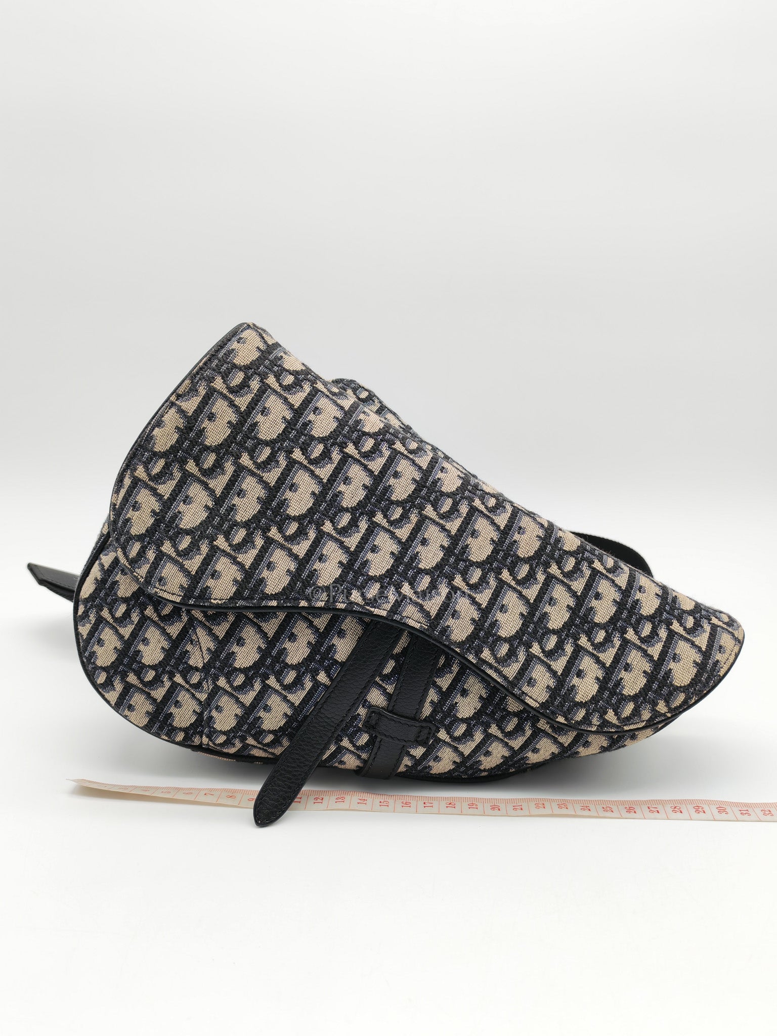 Saddle Chest Bag in Oblique Jacquard Canvas | Purse Maison Luxury Bags Shop