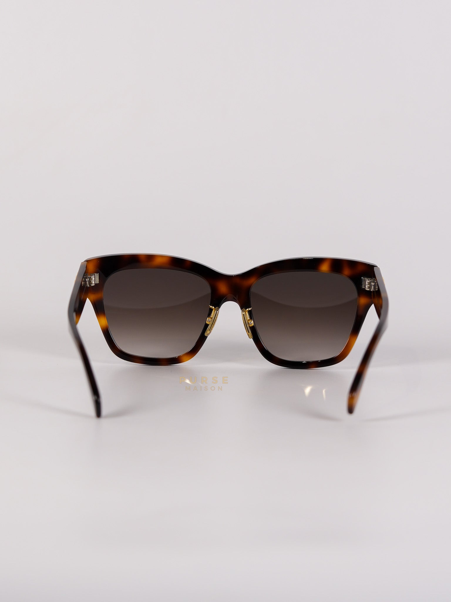 CL40253F Acetate Sunglass | Purse Maison Luxury Bags Shop