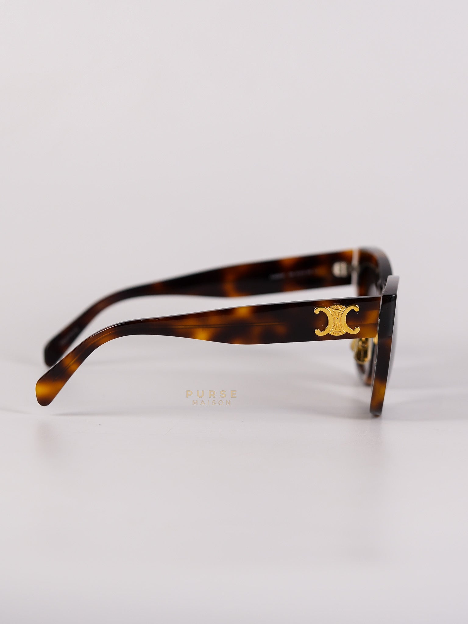 CL40253F Acetate Sunglass | Purse Maison Luxury Bags Shop