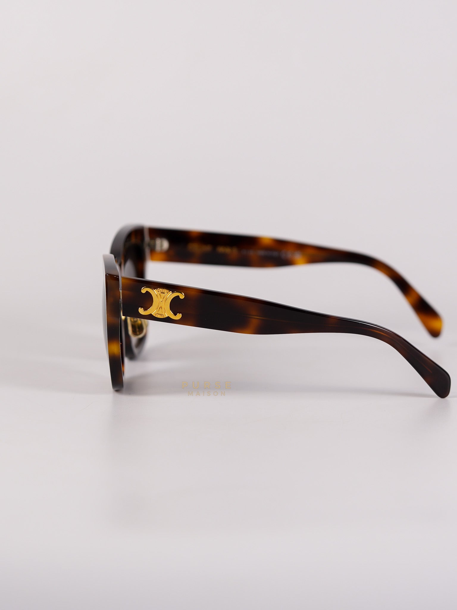 CL40253F Acetate Sunglass | Purse Maison Luxury Bags Shop