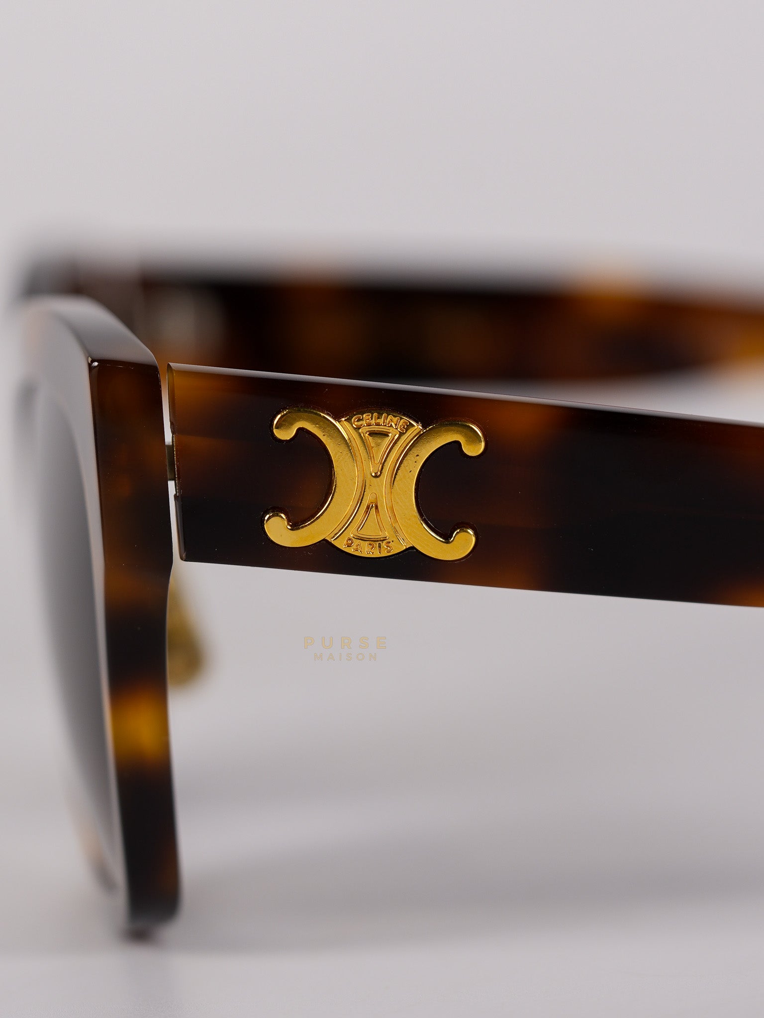 CL40253F Acetate Sunglass | Purse Maison Luxury Bags Shop