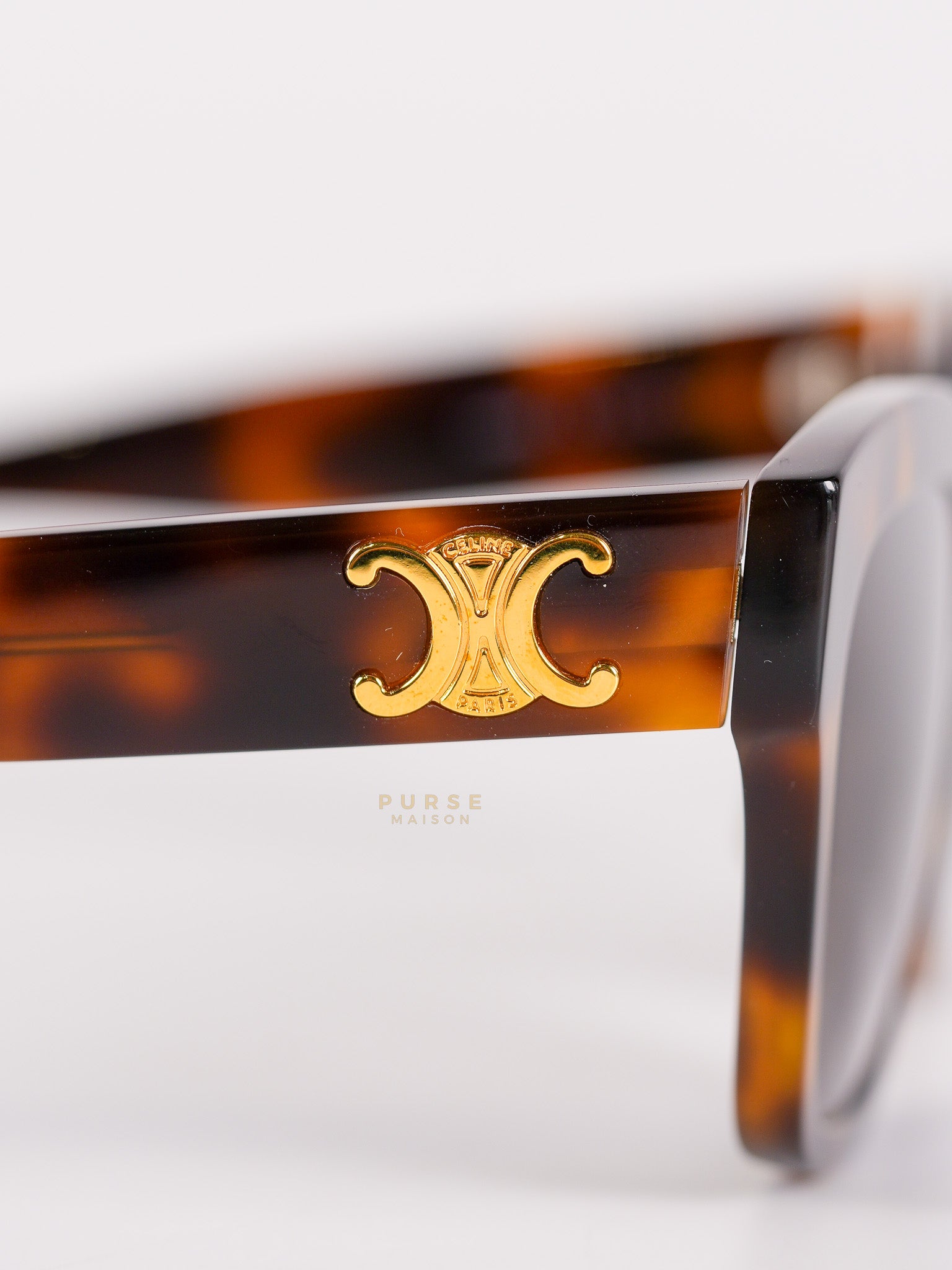 CL40253F Acetate Sunglass | Purse Maison Luxury Bags Shop