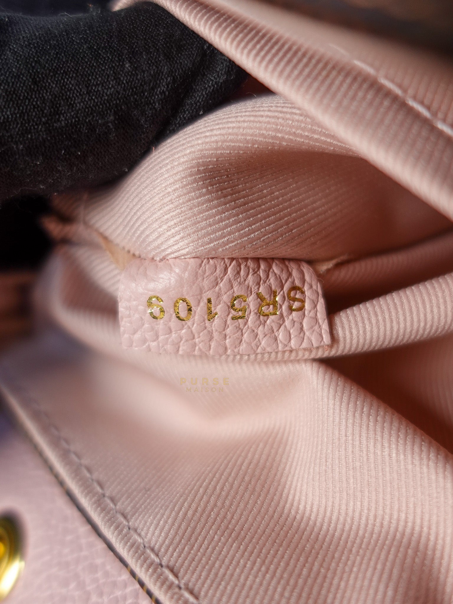 Clapton Back Pack In Brown & Pink Damier Ebene Canvas (Date Code: SR5109) | Purse Maison Luxury Bags Shop