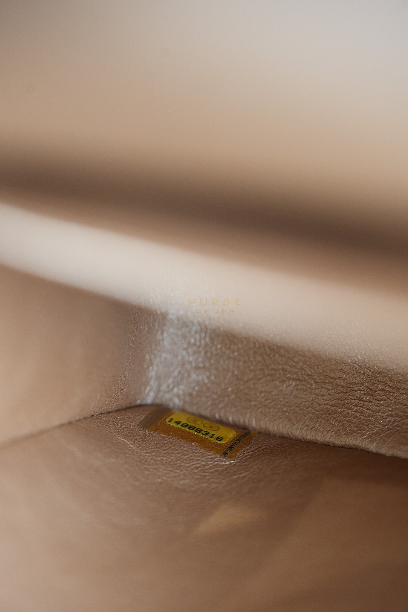 Classic Double Flap Maxi Metallic in Caviar Leather and Silver Hardware Series 14 | Purse Maison Luxury Bags Shop