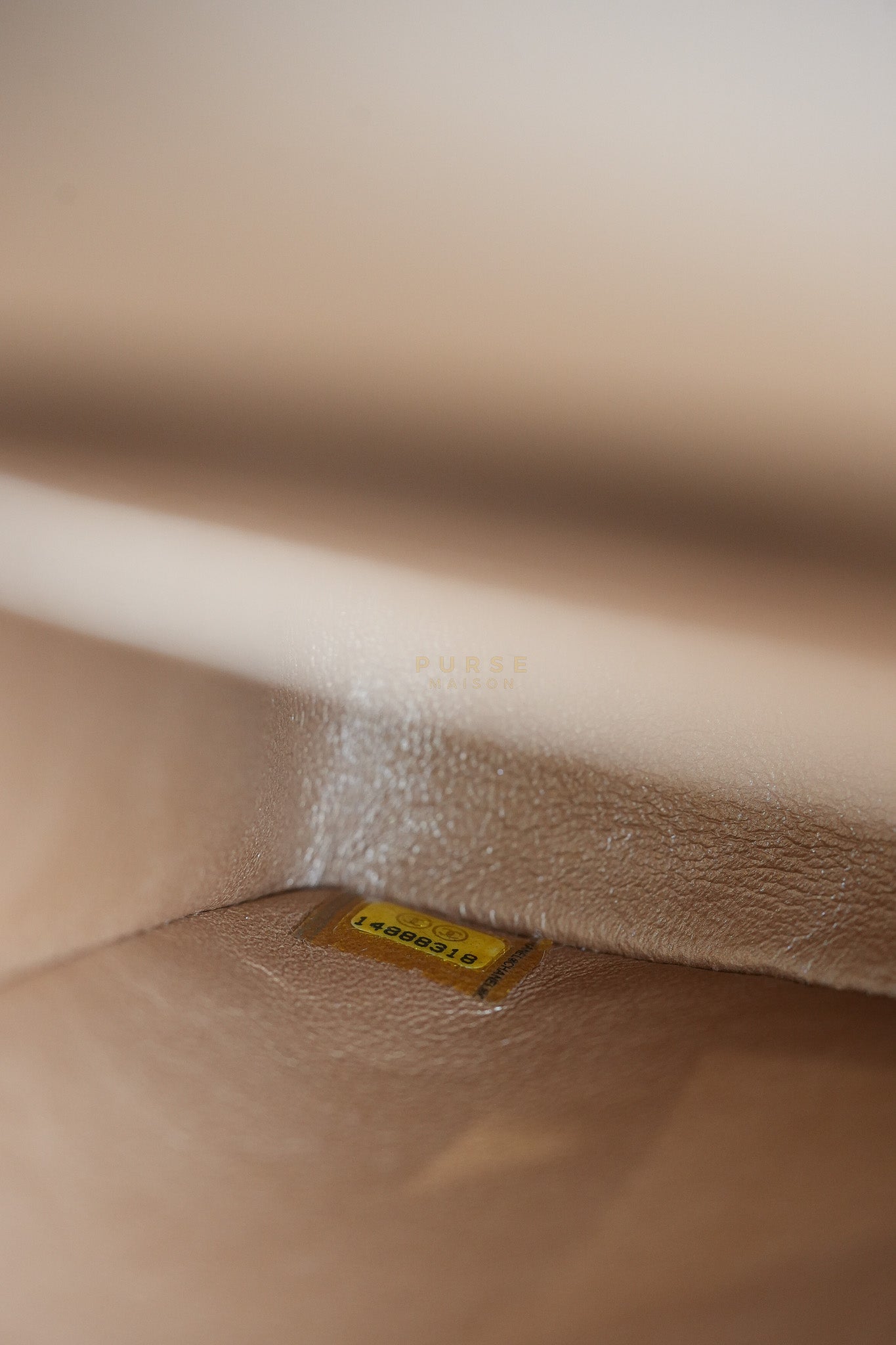 Classic Double Flap Maxi Metallic in Caviar Leather and Silver Hardware Series 14 | Purse Maison Luxury Bags Shop