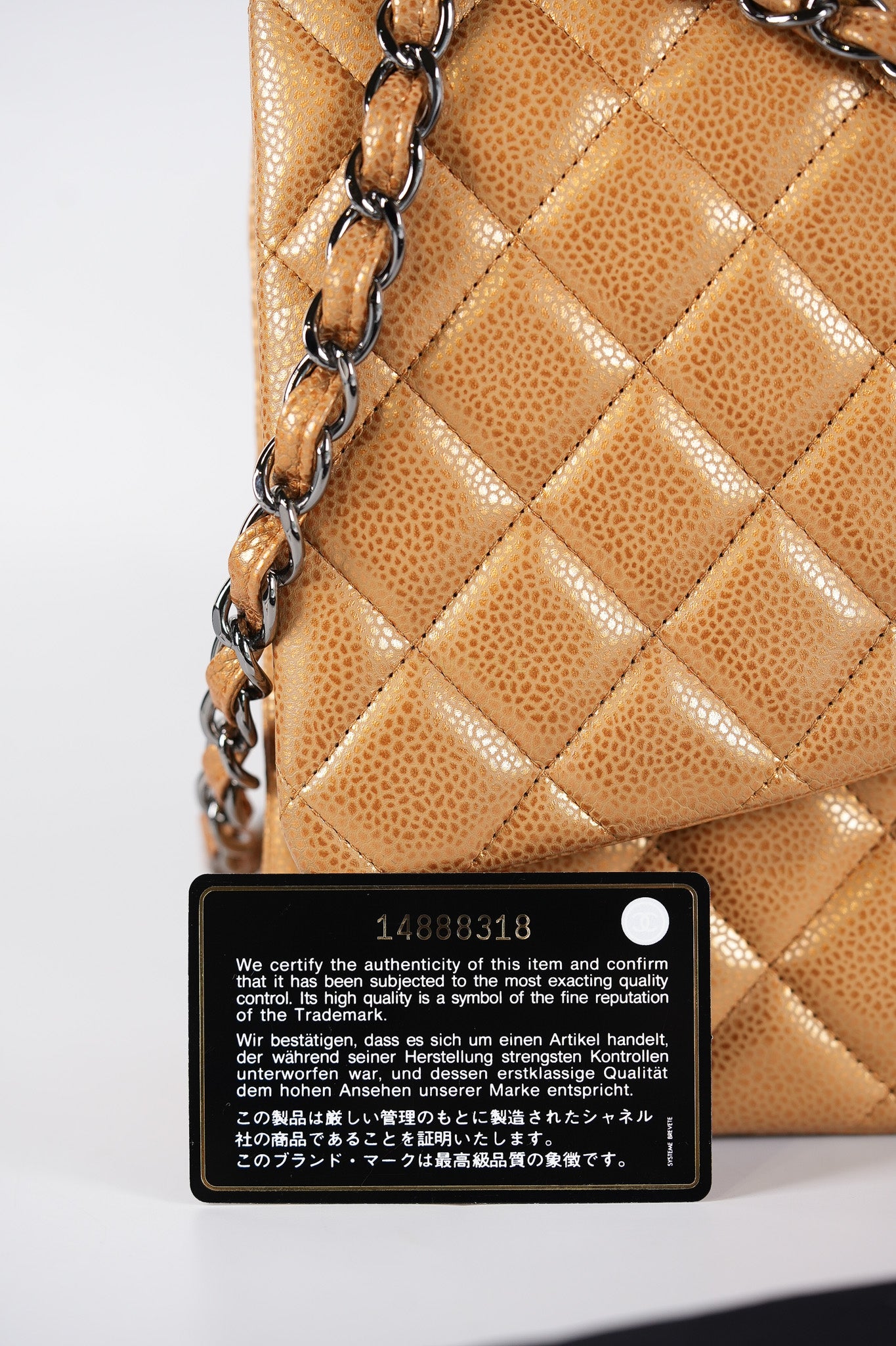 Classic Double Flap Maxi Metallic in Caviar Leather and Silver Hardware Series 14 | Purse Maison Luxury Bags Shop