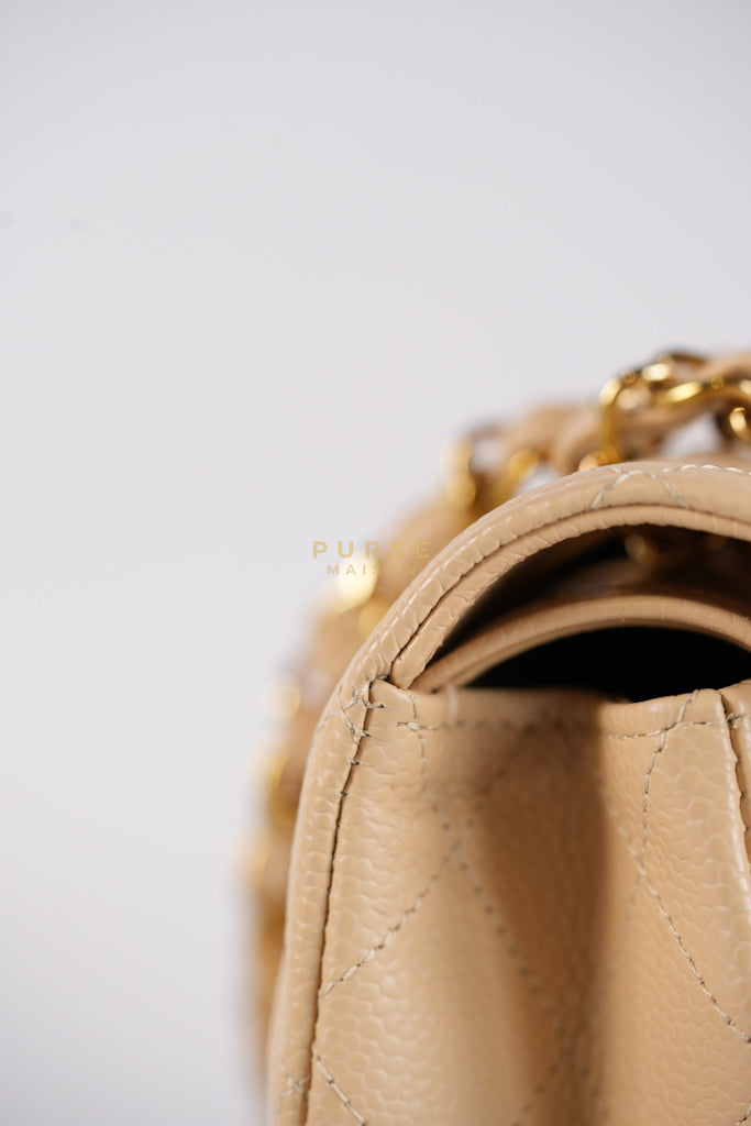Classic Double Flap Medium Beige Clair in Caviar Leather and Gold Hardware (Microchip) | Purse Maison Luxury Bags Shop