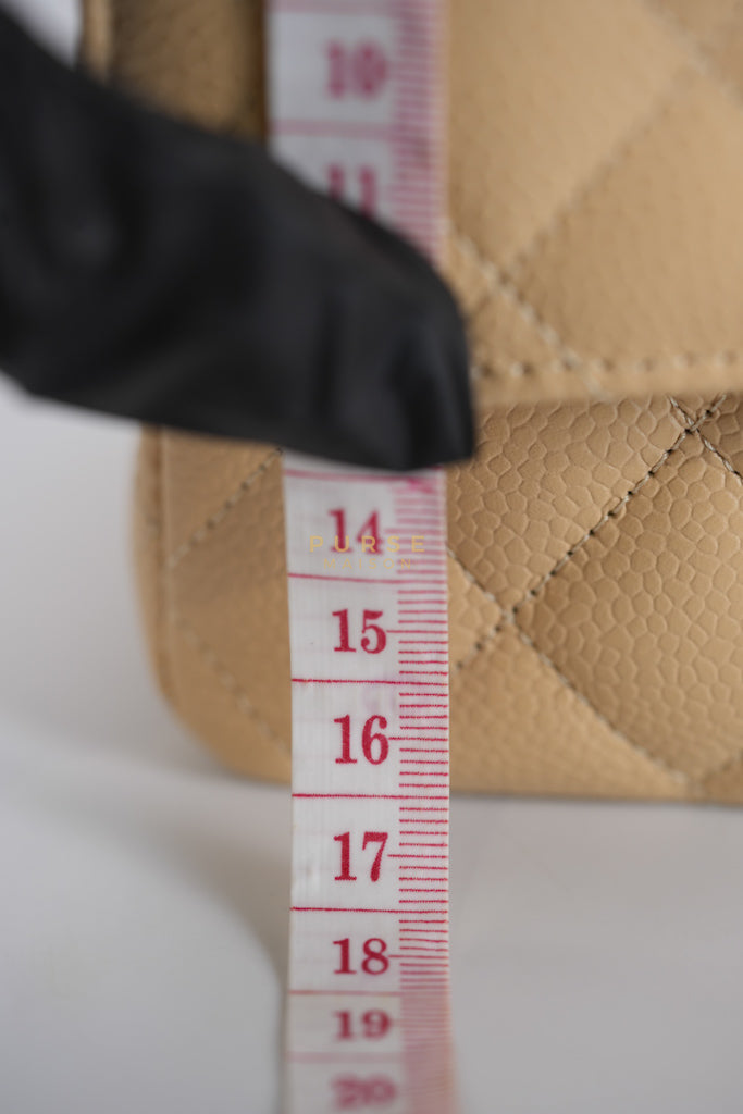 Classic Double Flap Medium Beige Clair in Caviar Leather and Gold Hardware (Microchip) | Purse Maison Luxury Bags Shop