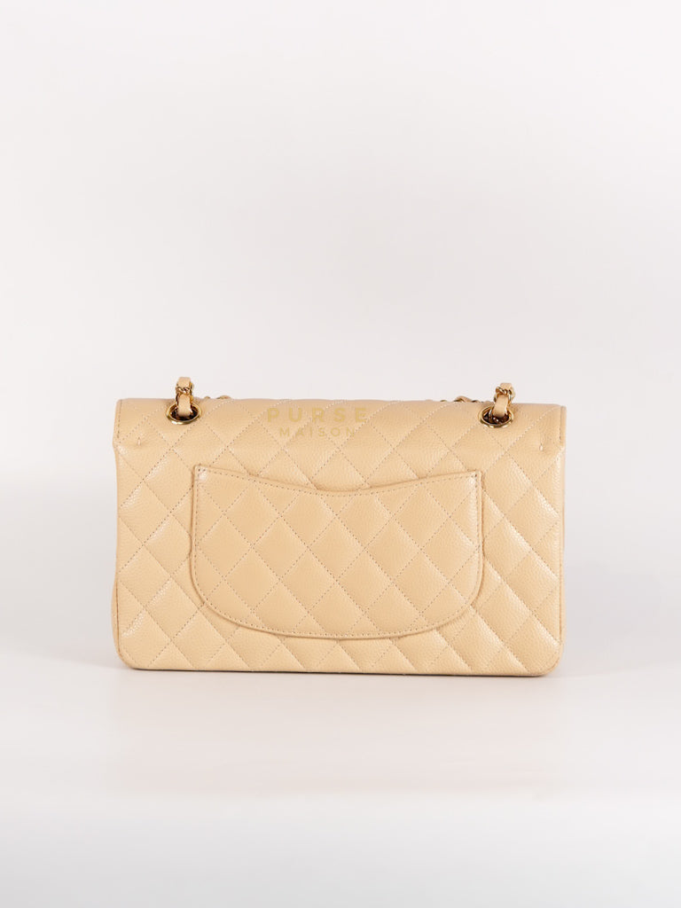 Classic Double Flap Medium Beige Clair in Caviar Leather and Gold Hardware (Microchip) | Purse Maison Luxury Bags Shop