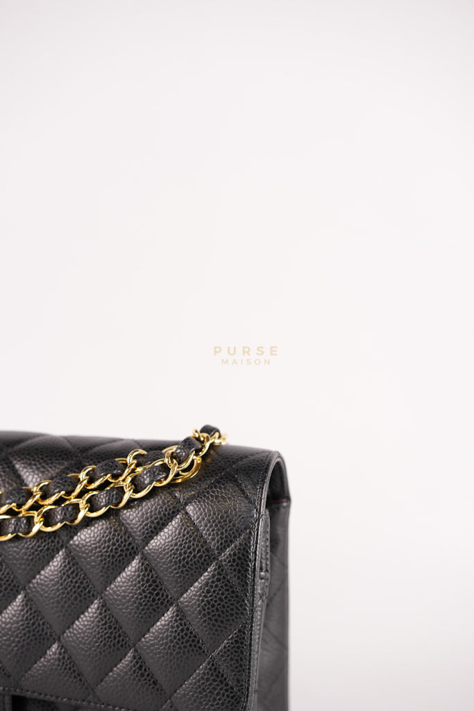 Classic Double Flap Medium in Black Caviar Leather and Gold Hardware Series 19 | Purse Maison Luxury Bags Shop