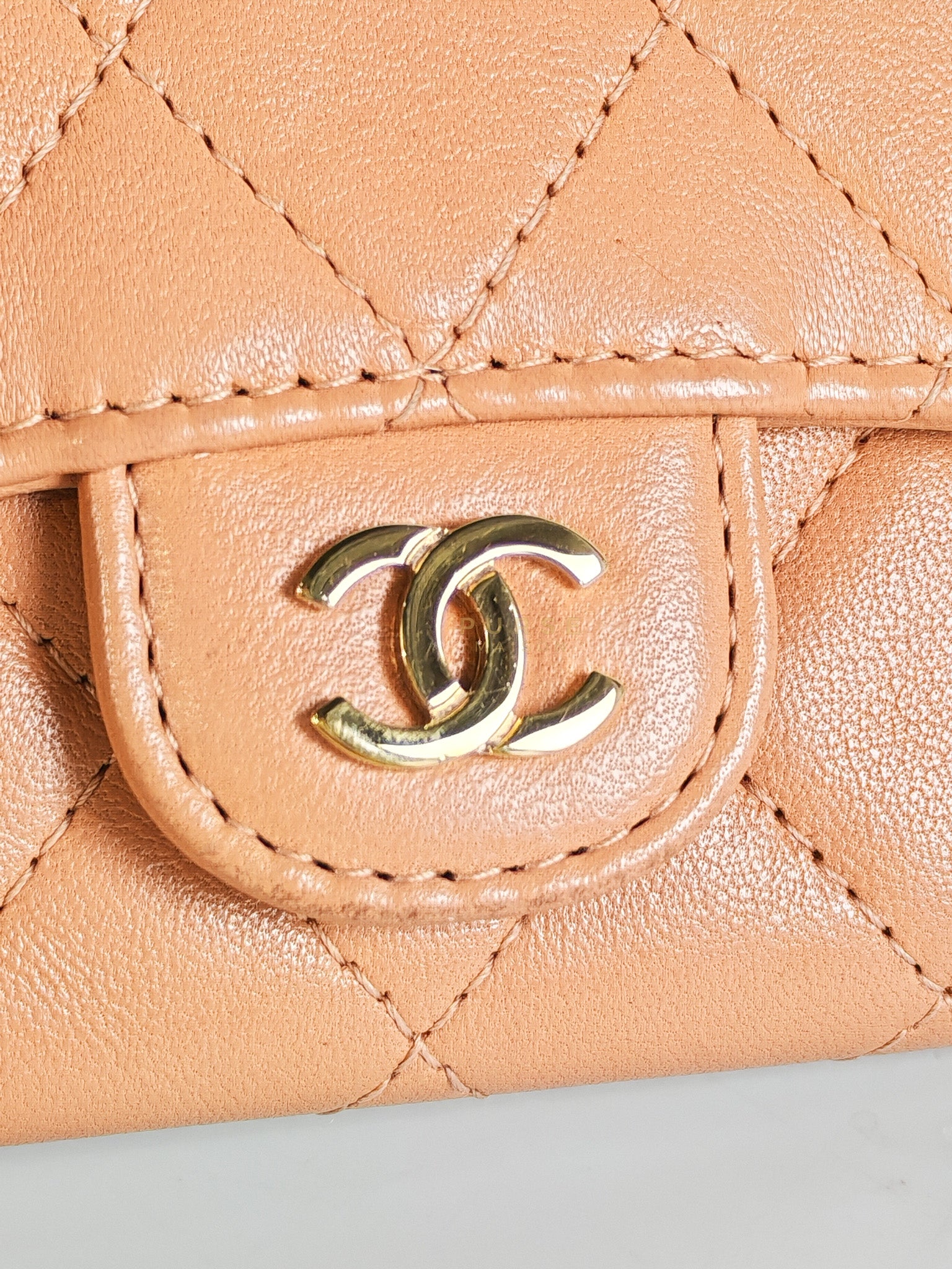 Classic Flap Card Holder in Peach Lambskin Leather and Light Gold Hardware Series 25 | Purse Maison Luxury Bags Shop