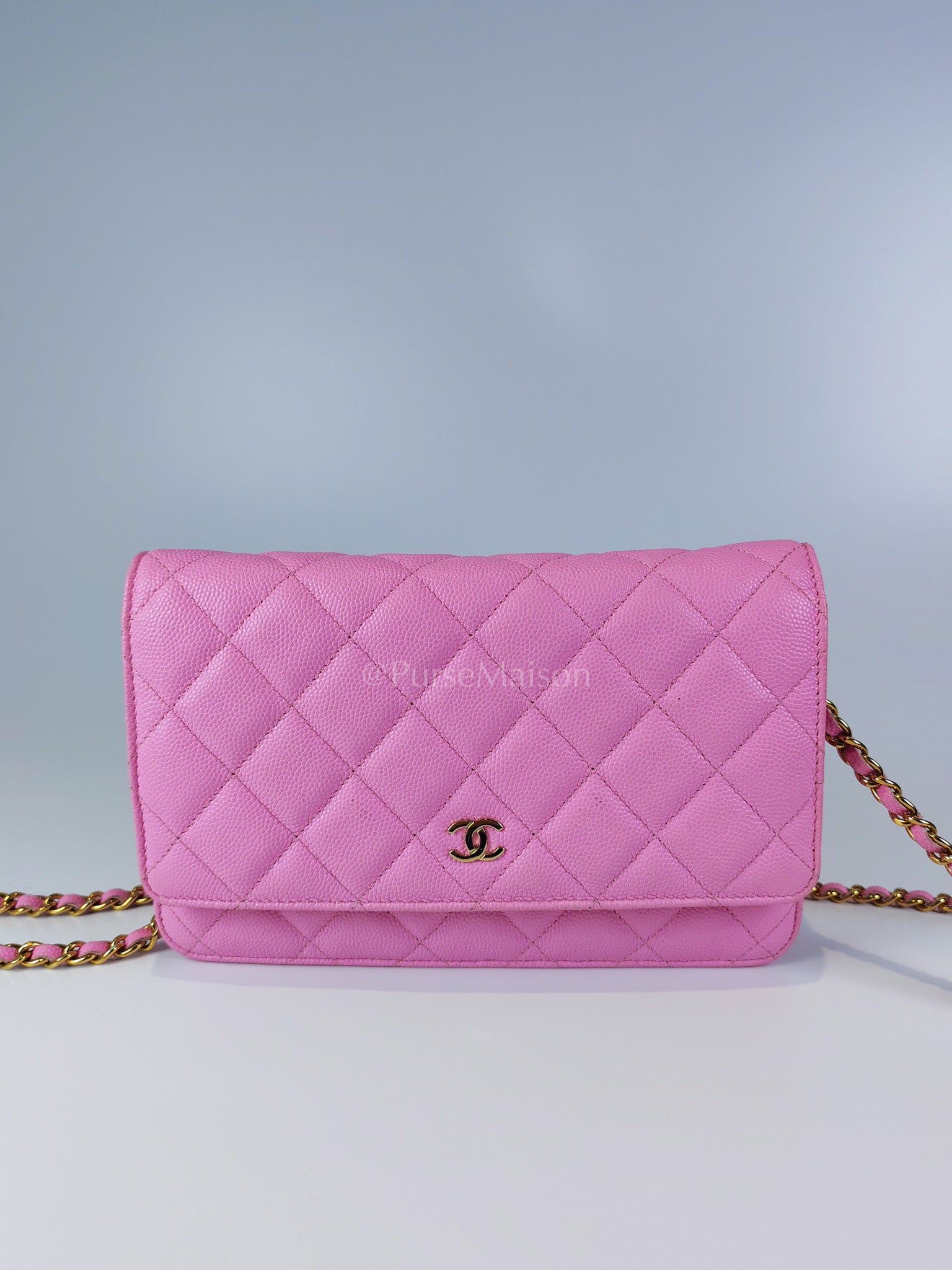 Classic Wallet On Chain in Pink Caviar Leather Gold Hardware (Microchip) | Purse Maison Luxury Bags Shop