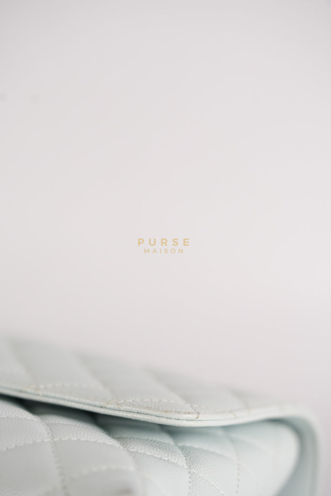 Coco Handle Medium in Tiffany Caviar Leather and Light Gold Hardware (Microchip) | Purse Maison Luxury Bags Shop