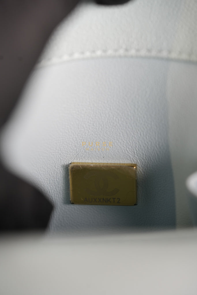 Coco Handle Medium in Tiffany Caviar Leather and Light Gold Hardware (Microchip) | Purse Maison Luxury Bags Shop