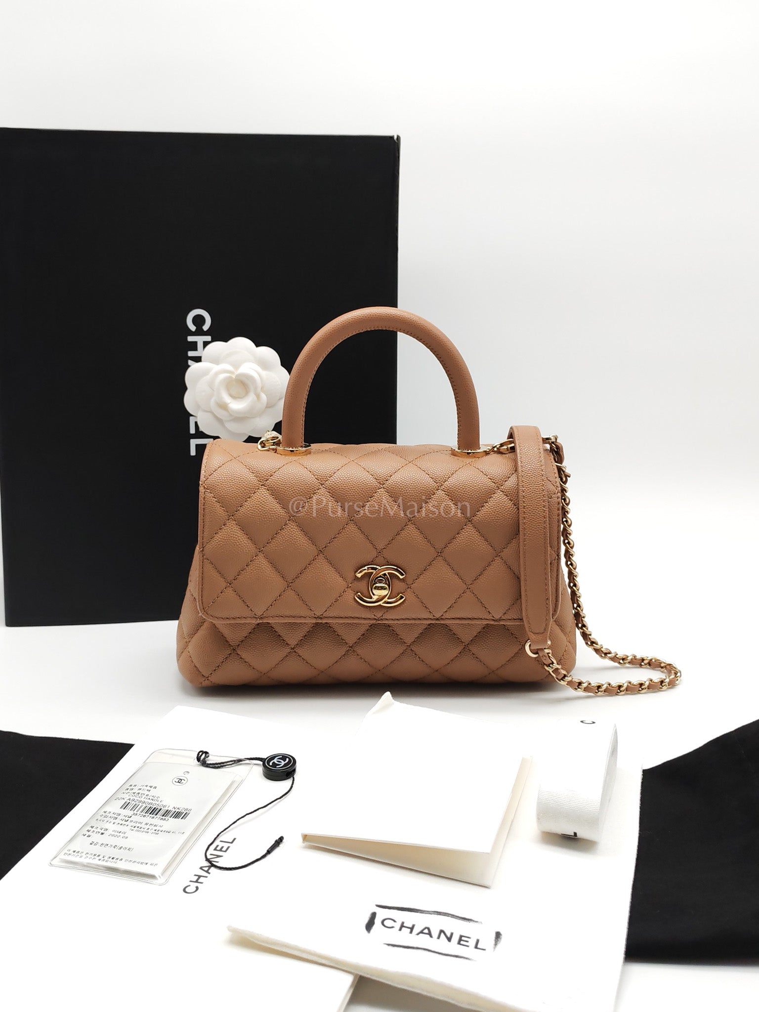 Coco Handle Small Dark Beige Caviar Leather in Light Gold Hardware (Microchip) | Purse Maison Luxury Bags Shop