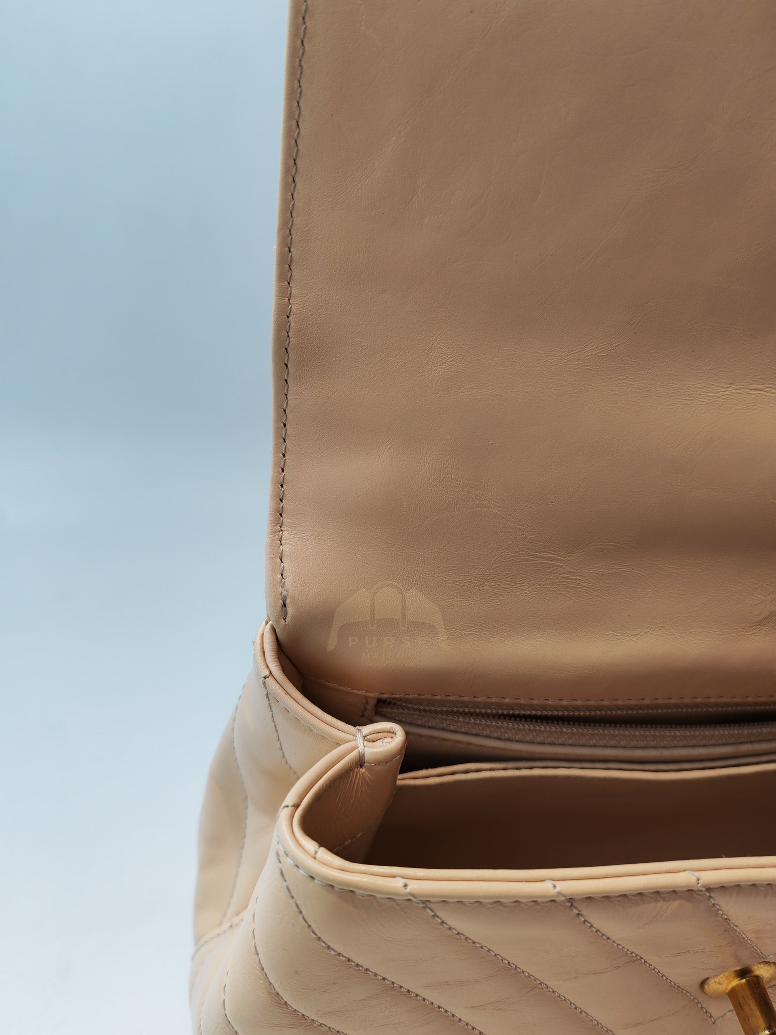 Coco Handle Small in Beige Lizard Embossed Handle & Aged Gold Hardware(Series 25) | Purse Maison Luxury Bags Shop