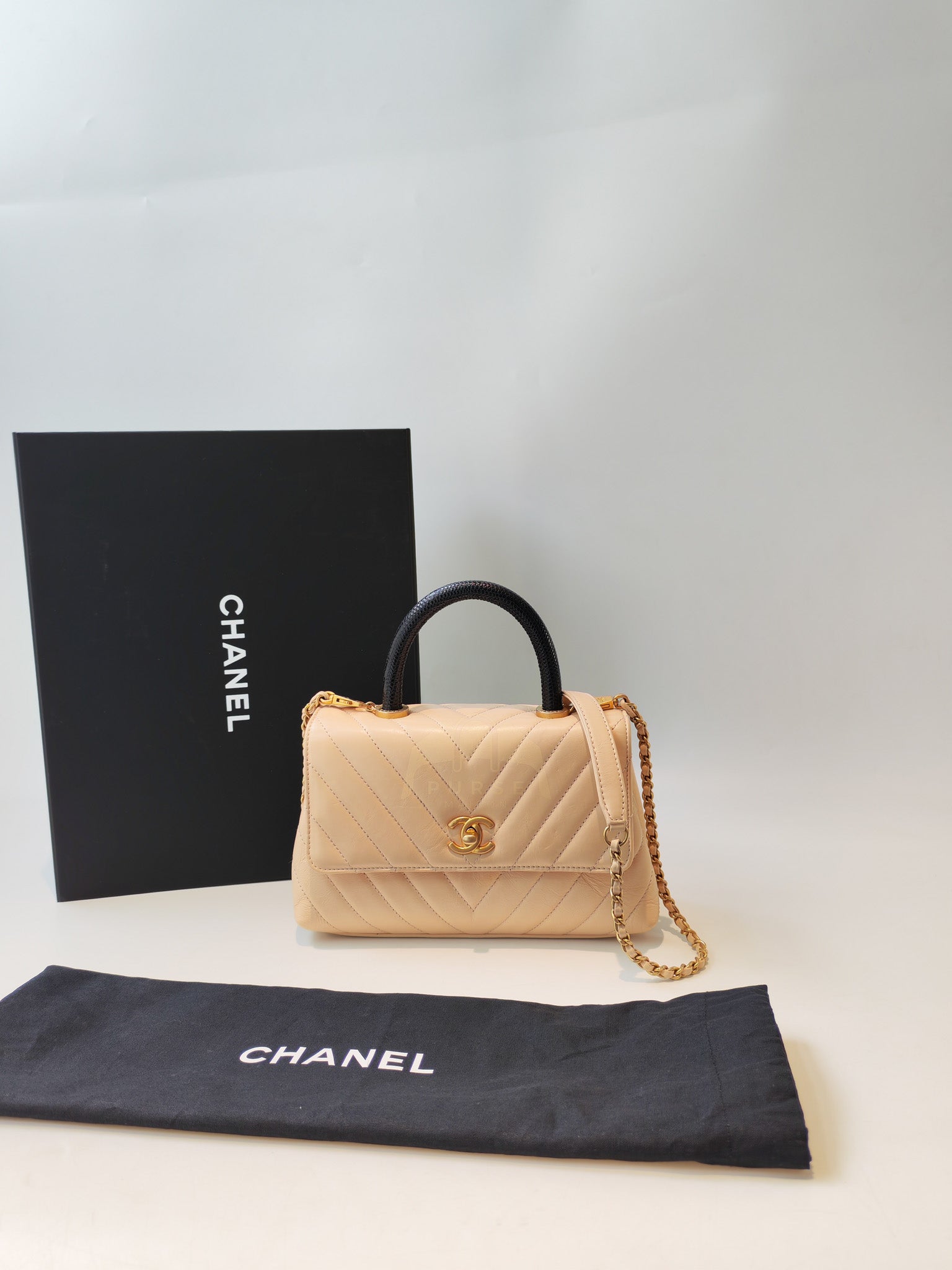 Coco Handle Small in Beige Lizard Embossed Handle & Aged Gold Hardware(Series 25) | Purse Maison Luxury Bags Shop