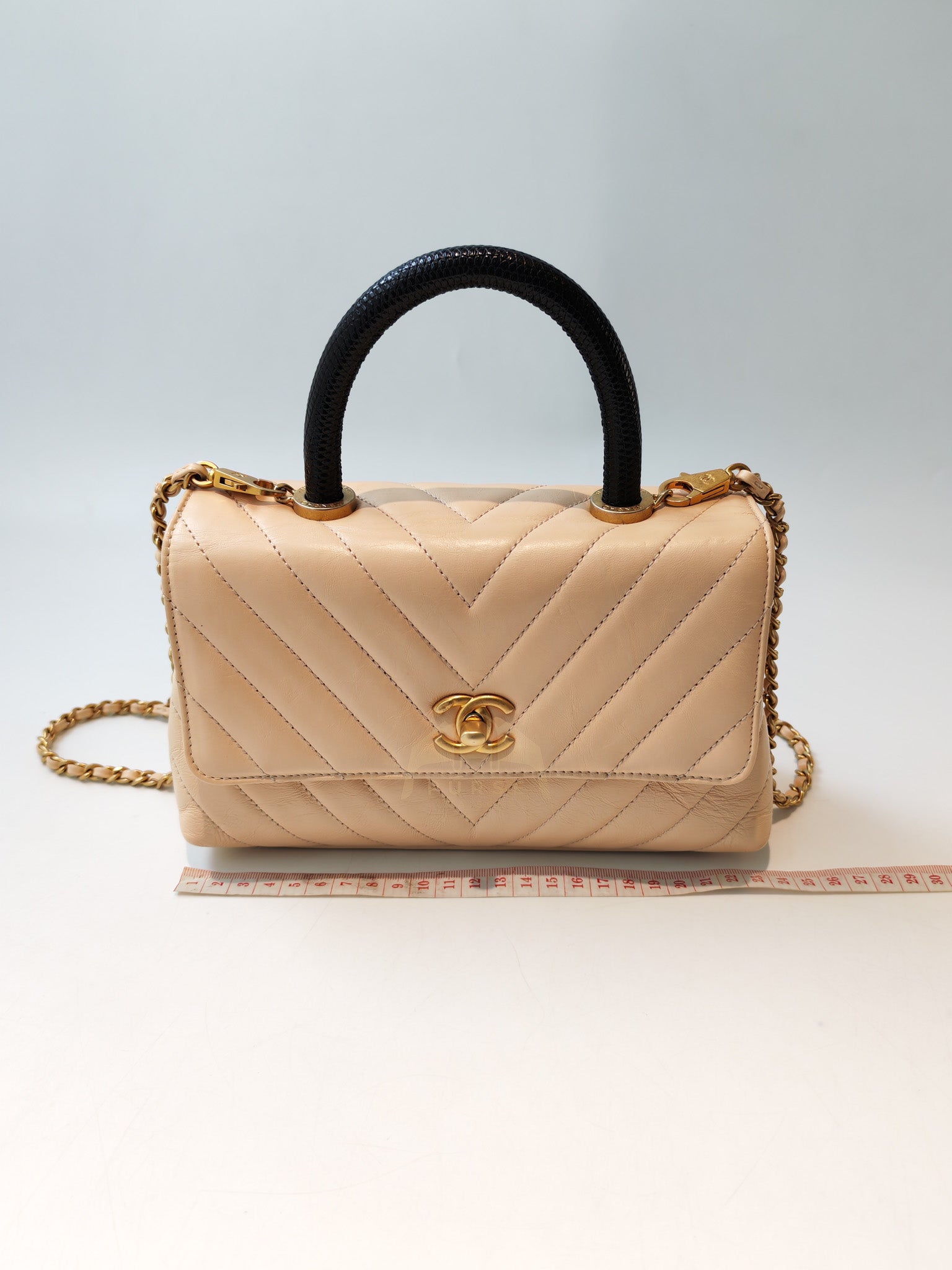 Coco Handle Small in Beige Lizard Embossed Handle & Aged Gold Hardware(Series 25) | Purse Maison Luxury Bags Shop