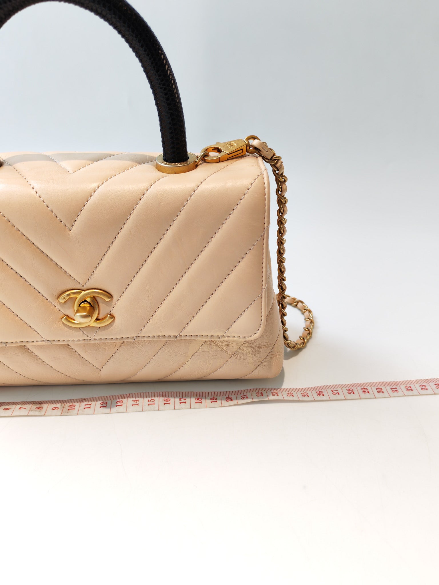 Coco Handle Small in Beige Lizard Embossed Handle & Aged Gold Hardware(Series 25) | Purse Maison Luxury Bags Shop