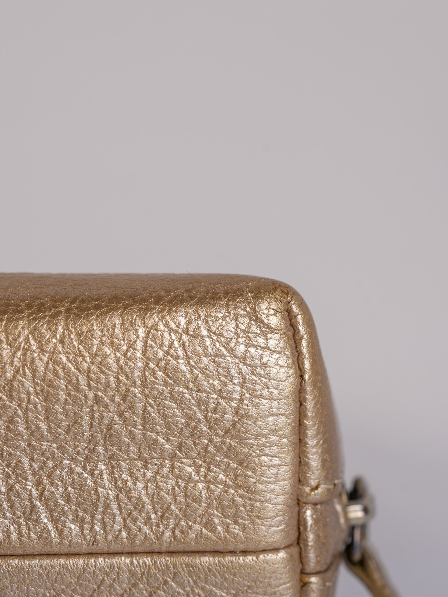 Cosmetic Case Metallic Goatskin Leather and Silver Hardware Series 11 | Purse Maison Luxury Bags Shop