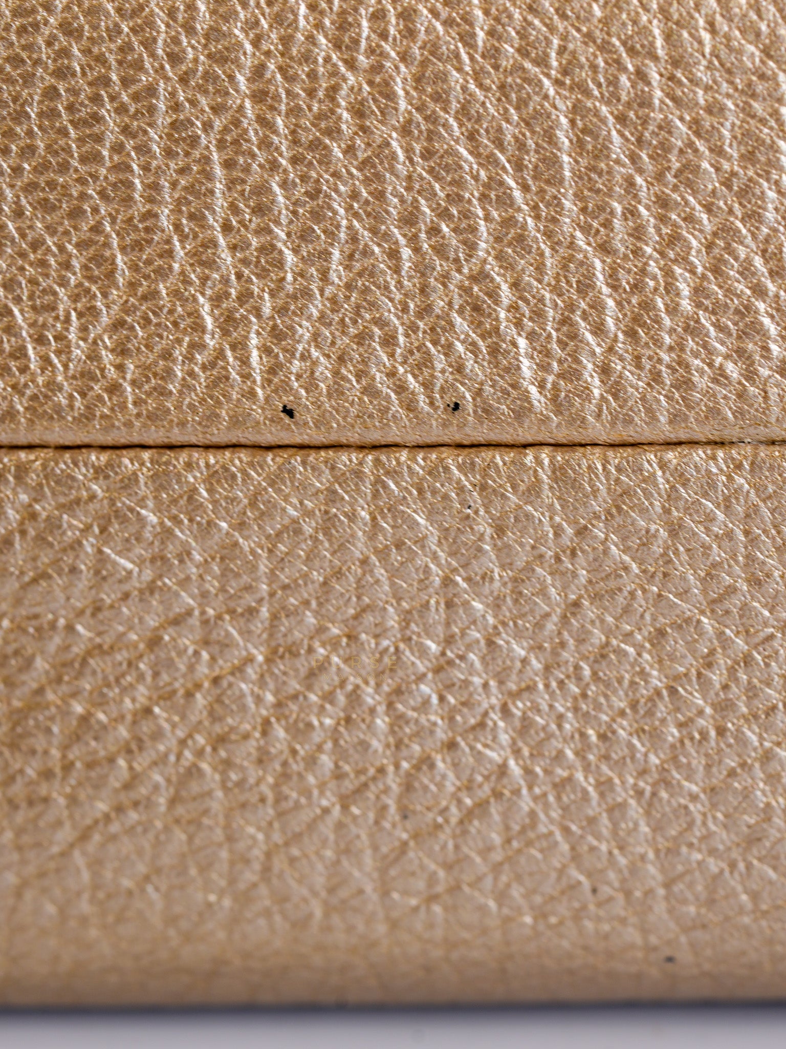 Cosmetic Case Metallic Goatskin Leather and Silver Hardware Series 11 | Purse Maison Luxury Bags Shop