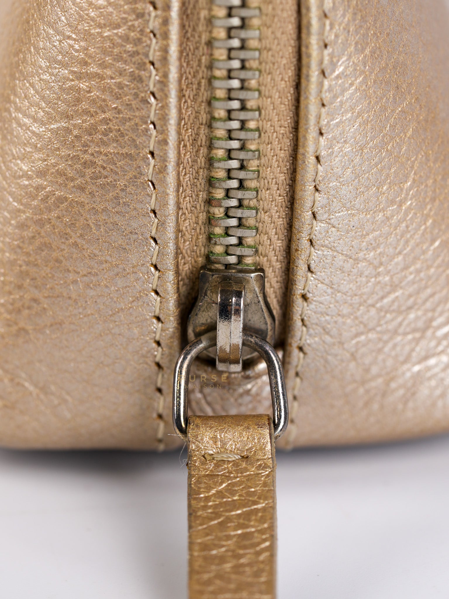 Cosmetic Case Metallic Goatskin Leather and Silver Hardware Series 11 | Purse Maison Luxury Bags Shop