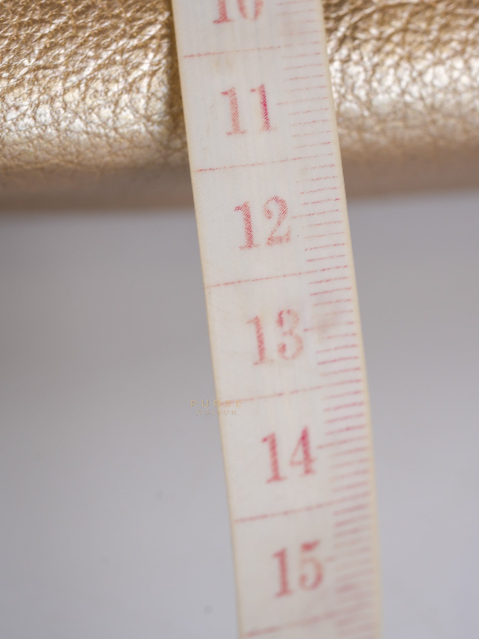 Cosmetic Case Metallic Goatskin Leather and Silver Hardware Series 11 | Purse Maison Luxury Bags Shop