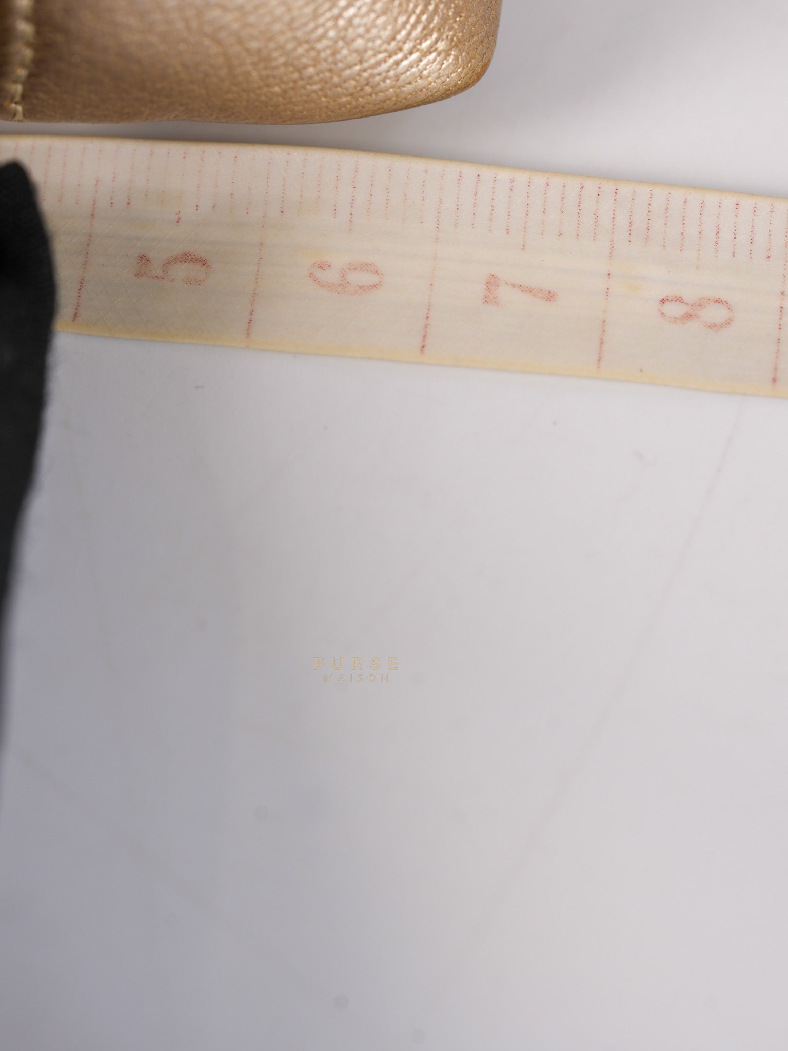 Cosmetic Case Metallic Goatskin Leather and Silver Hardware Series 11 | Purse Maison Luxury Bags Shop