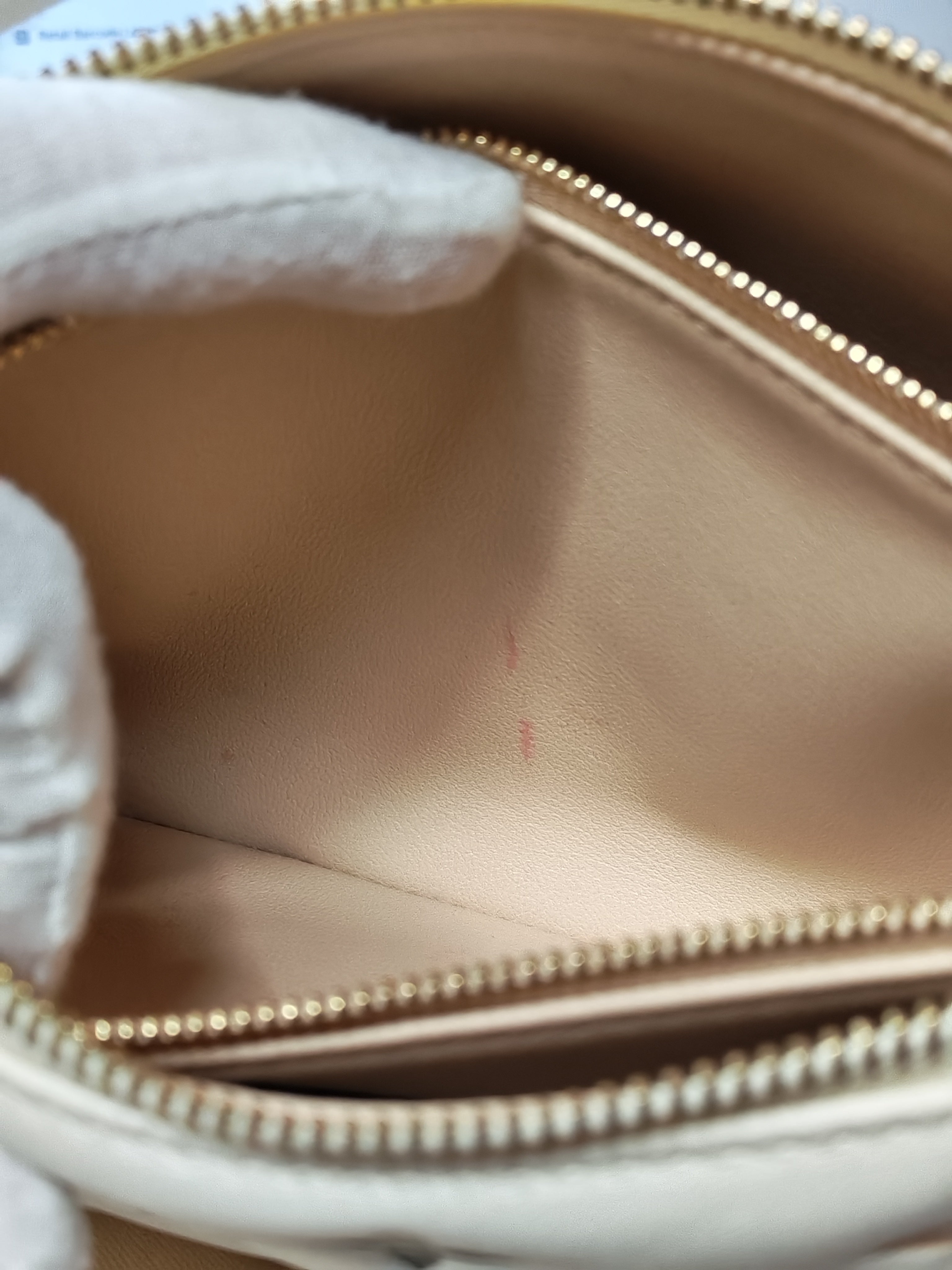 Coussin BB in Tricolor Embossed Monogram Calfskin Leather (Microchip) | Purse Maison Luxury Bags Shop