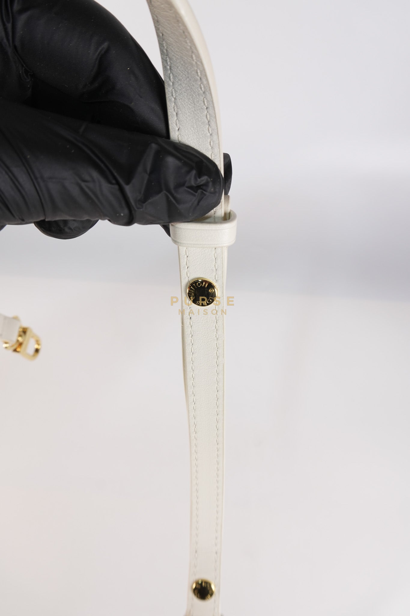 Coussin BB in Tricolor Embossed Monogram Calfskin Leather (Microchip) | Purse Maison Luxury Bags Shop