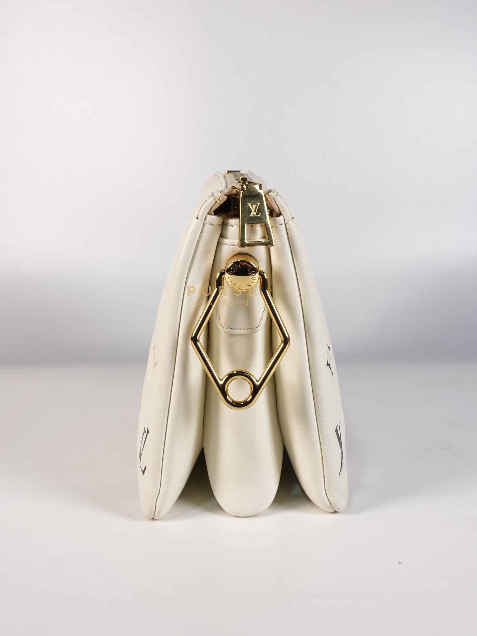 Coussin BB in Tricolor Embossed Monogram Calfskin Leather (Microchip) | Purse Maison Luxury Bags Shop