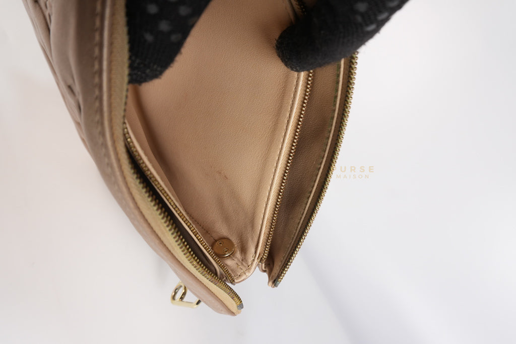 Coussin PM in Metallic Gold Monogram Lambskin Leather (Microchip) | Purse Maison Luxury Bags Shop