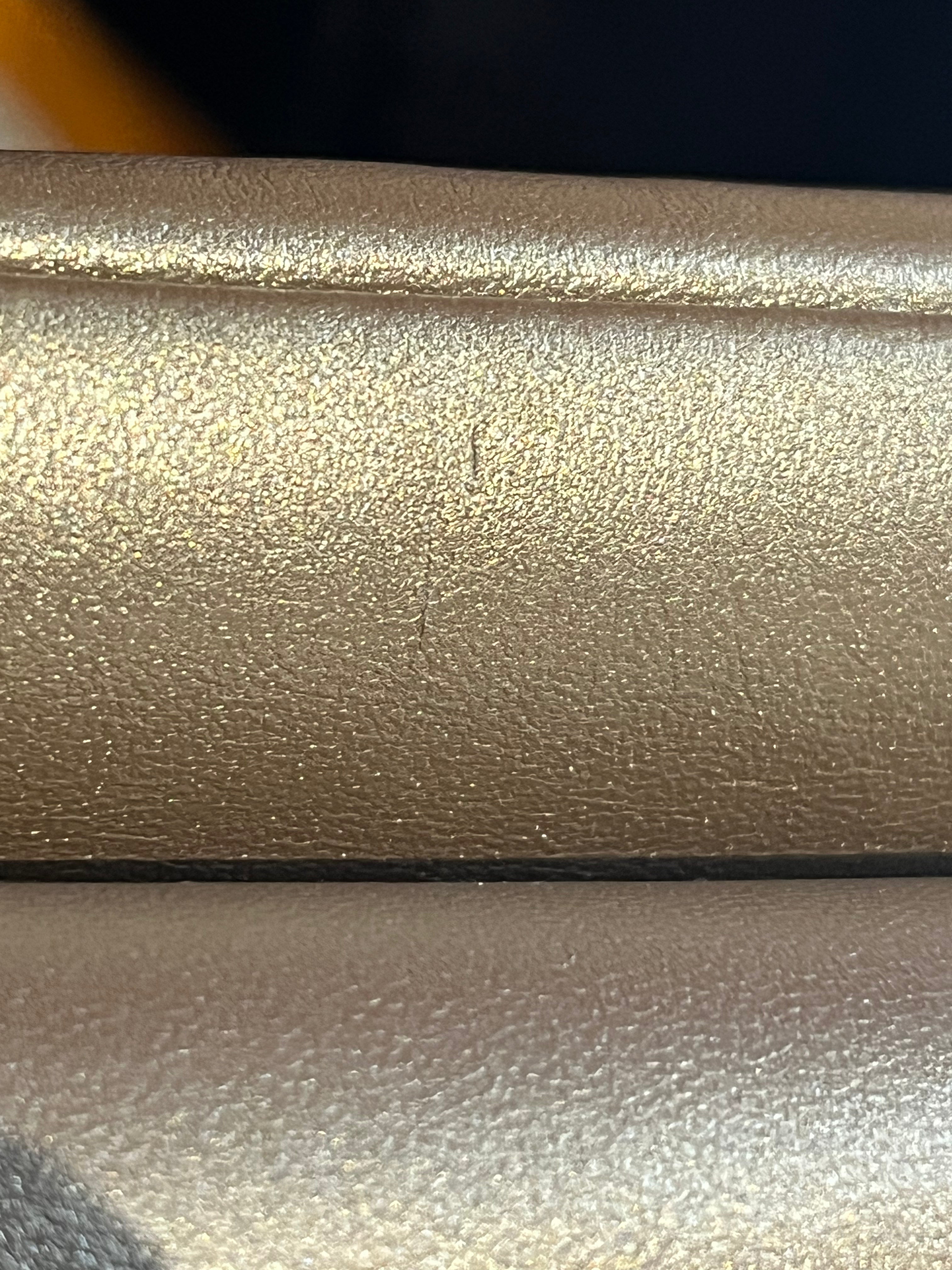 Coussin PM in Metallic Gold Monogram Lambskin Leather (Microchip) | Purse Maison Luxury Bags Shop