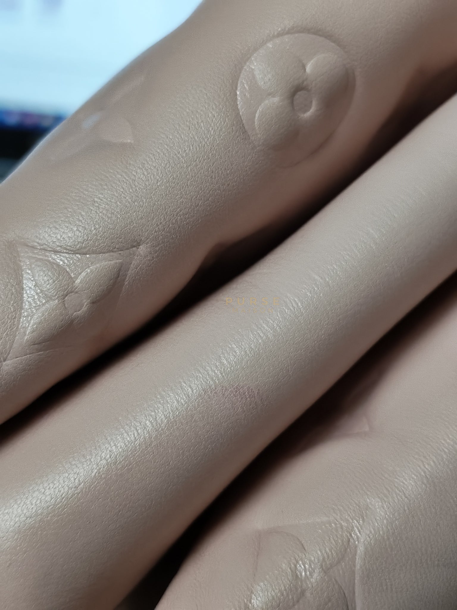 Coussin PM Rose Pink in Embossed Monogram Calfskin Leather (Microchip) | Purse Maison Luxury Bags Shop