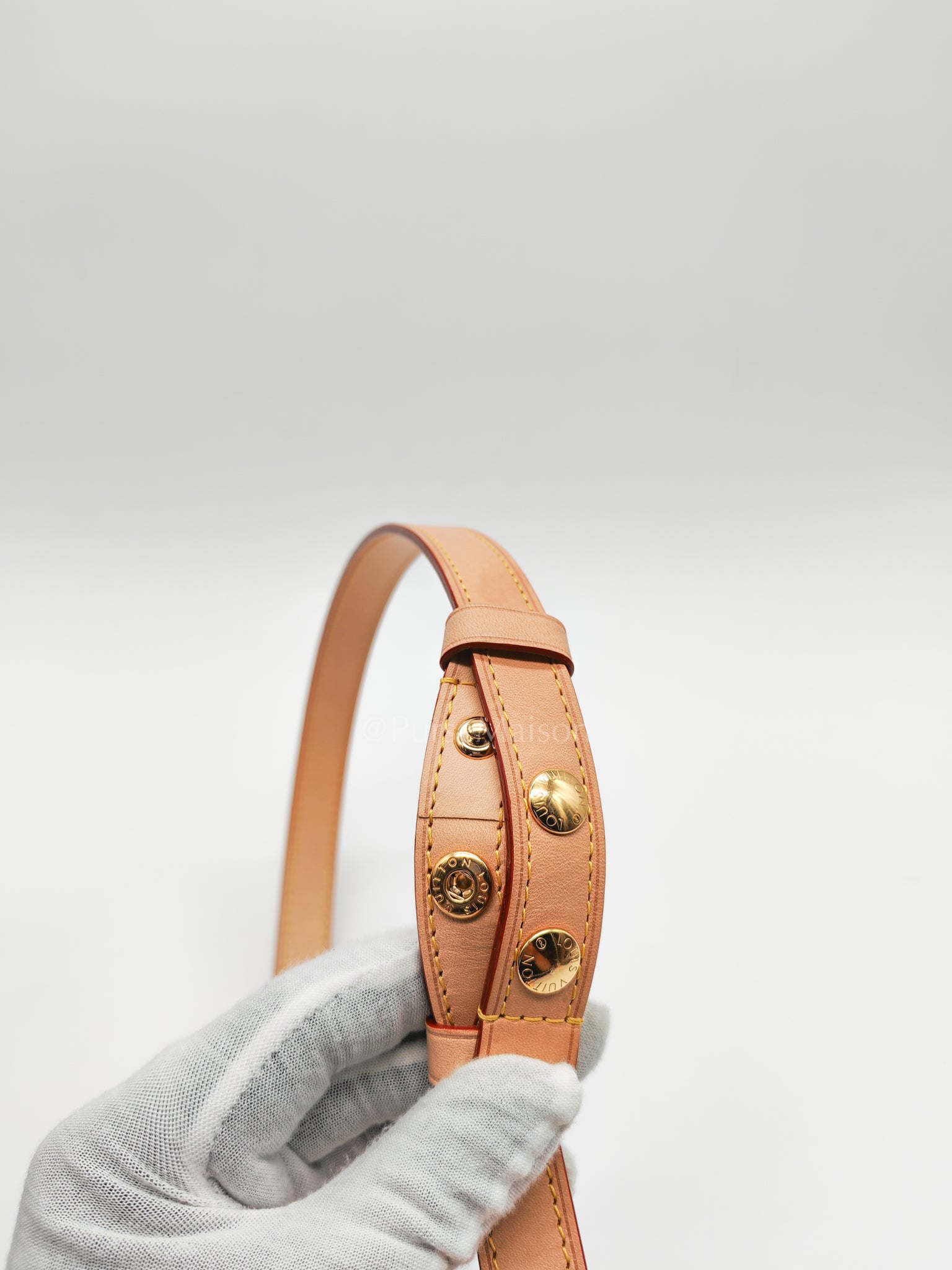 Dauphine Soft GM in Monogram Canvas (Microchip) | Purse Maison Luxury Bags Shop