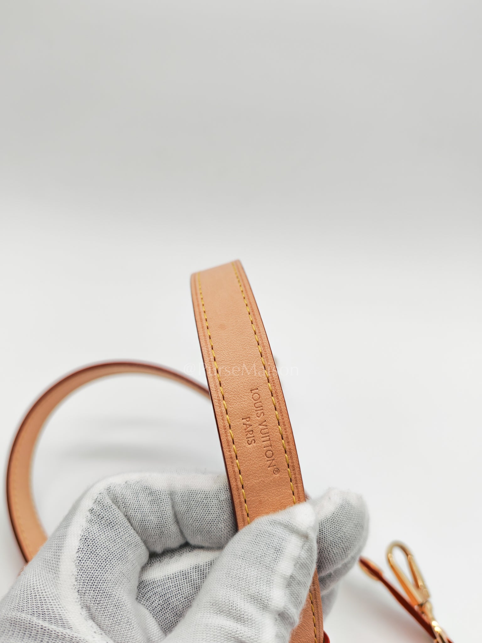 Dauphine Soft GM in Monogram Canvas (Microchip) | Purse Maison Luxury Bags Shop