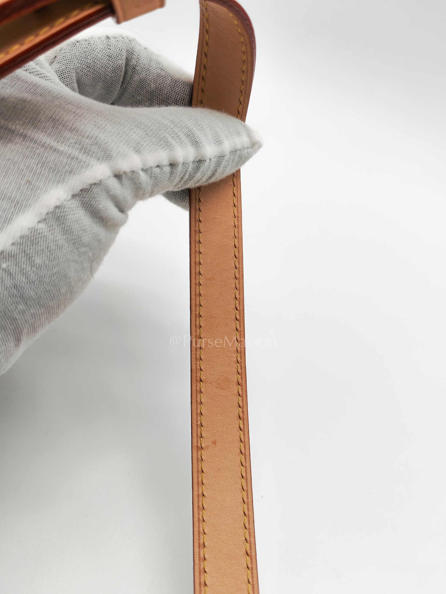 Dauphine Soft GM in Monogram Canvas (Microchip) | Purse Maison Luxury Bags Shop