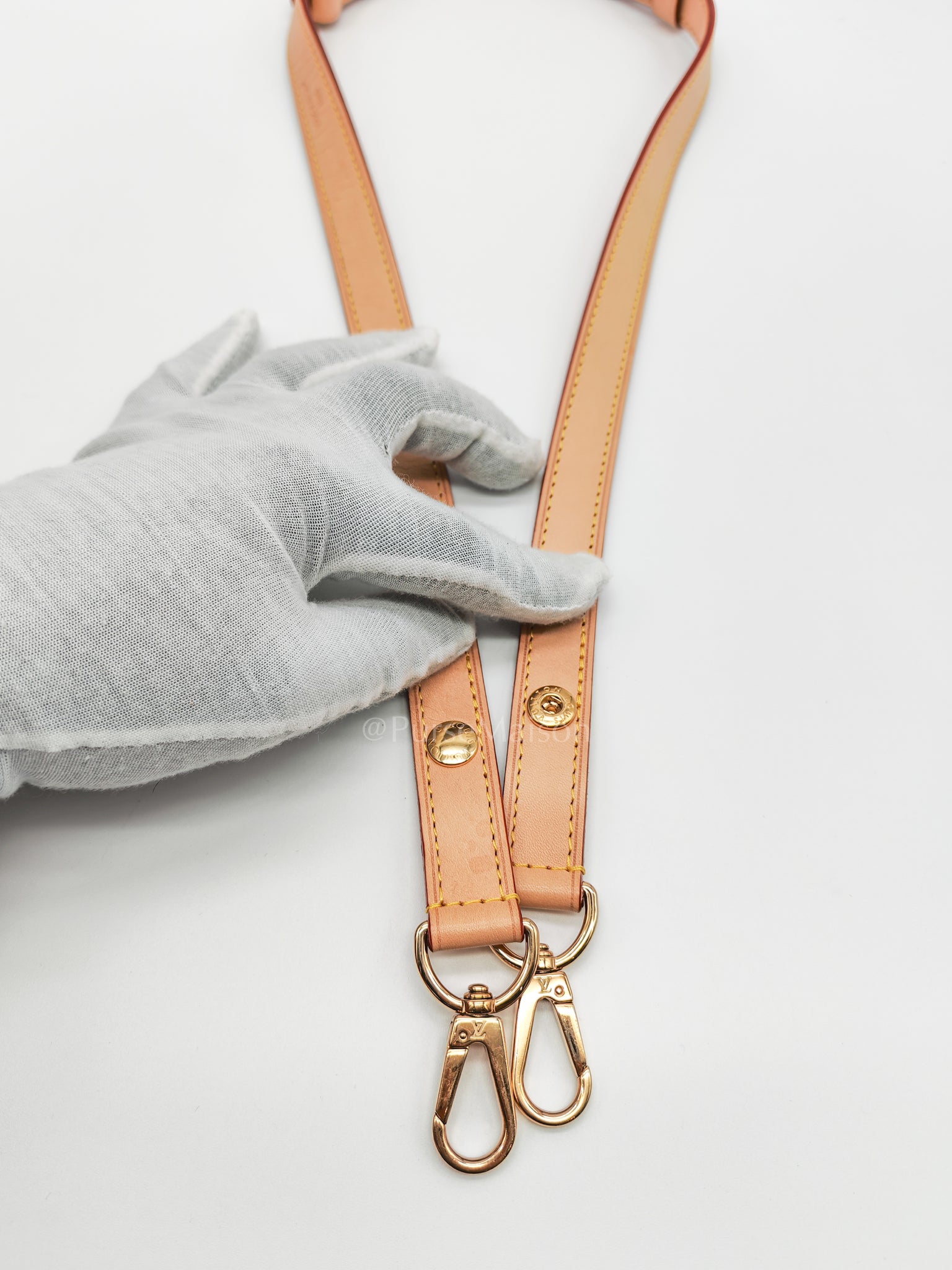 Dauphine Soft GM in Monogram Canvas (Microchip) | Purse Maison Luxury Bags Shop