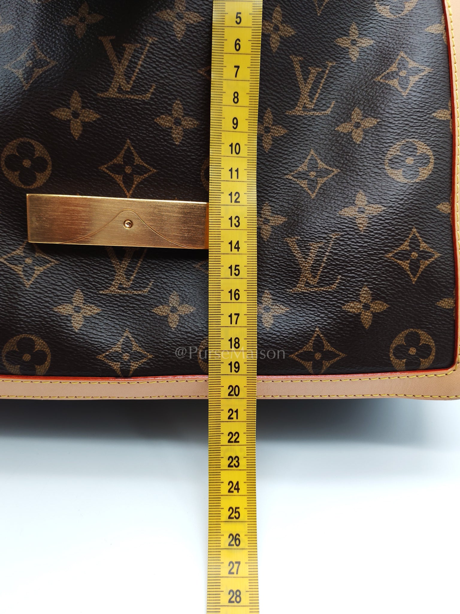 Dauphine Soft GM in Monogram Canvas (Microchip) | Purse Maison Luxury Bags Shop