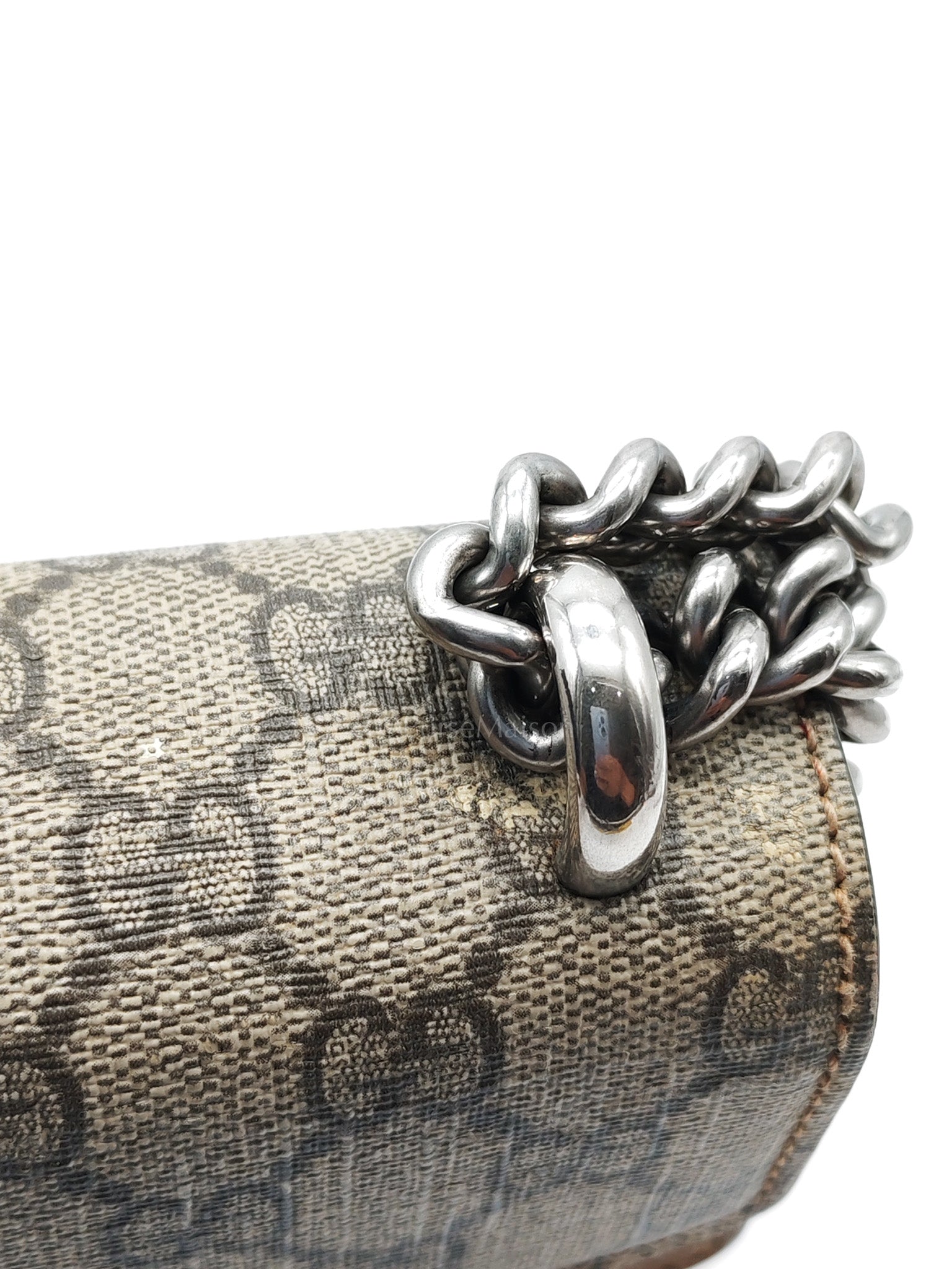 Dionysus Mini GG Supreme Coated Canvas | Purse Maison Luxury Bags Shop