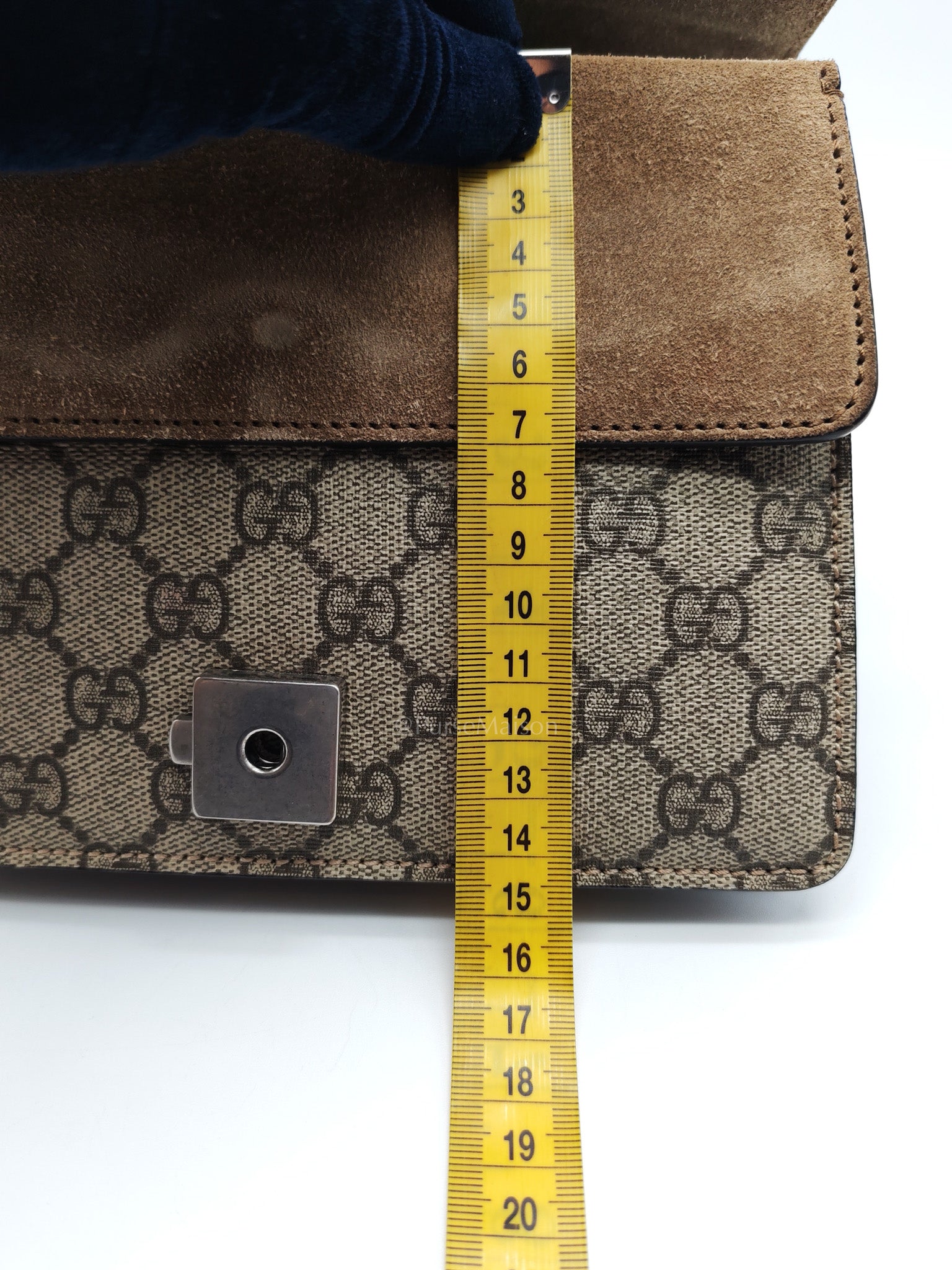 Dionysus Mini in GG Supreme Coated Canvas | Purse Maison Luxury Bags Shop