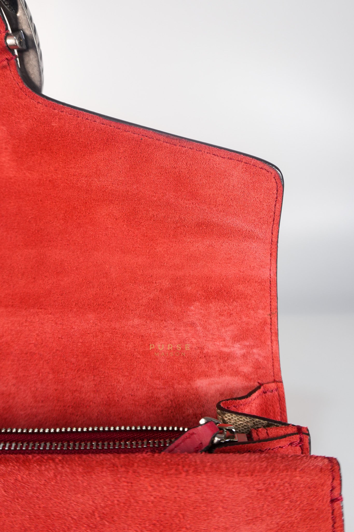 Dionysus Small Bag in Supreme Canvas in PVC Red Suede and Chain Strap | Purse Maison Luxury Bags Shop